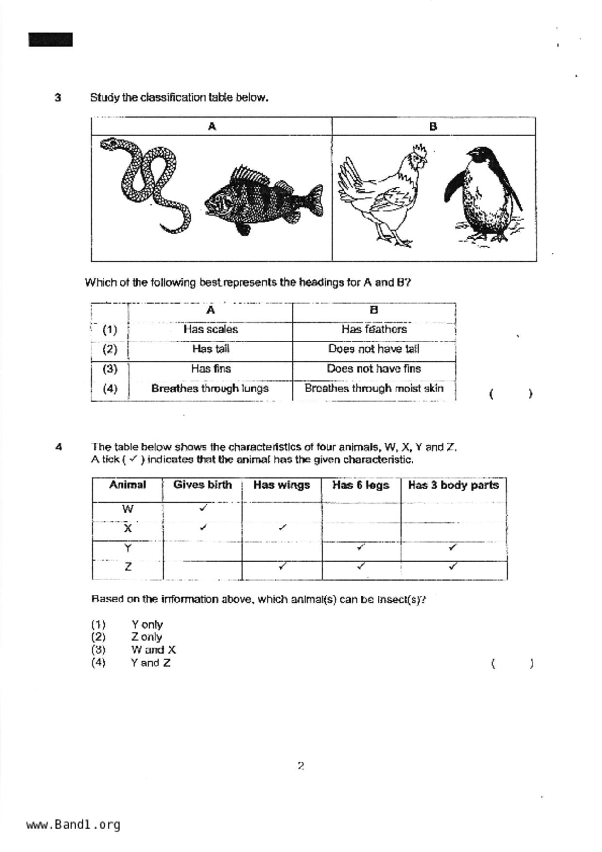 P3Science試卷