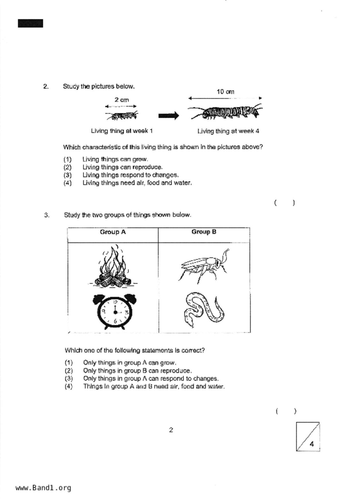 P3Science試卷