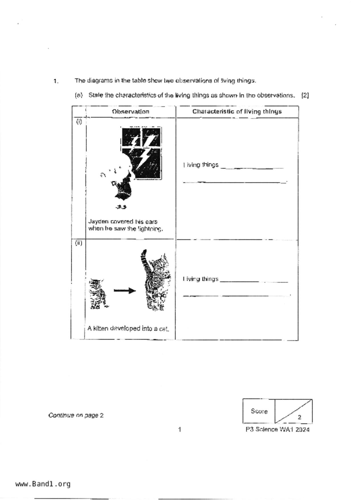 P3Science試卷