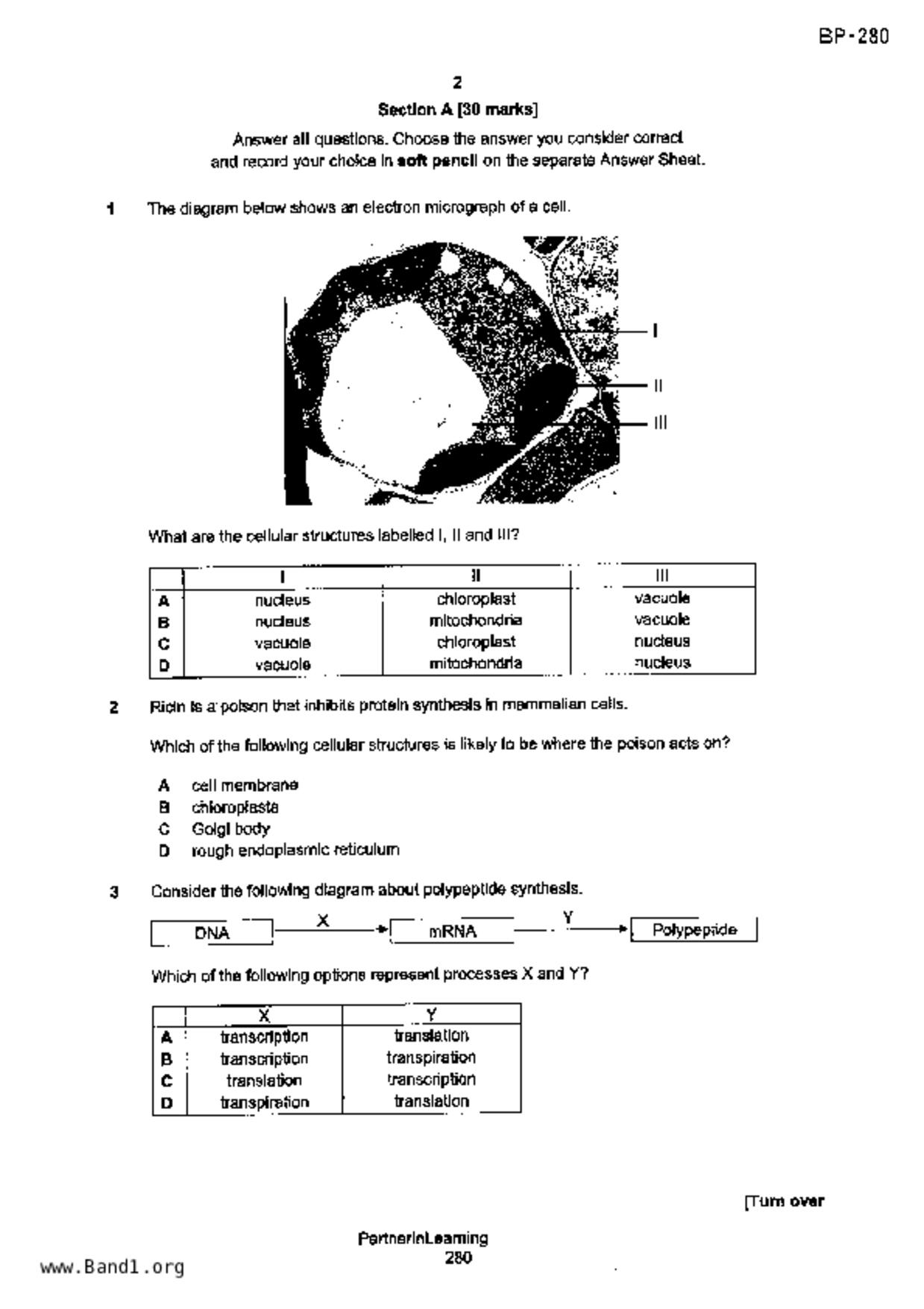 S3Pure Biology試卷