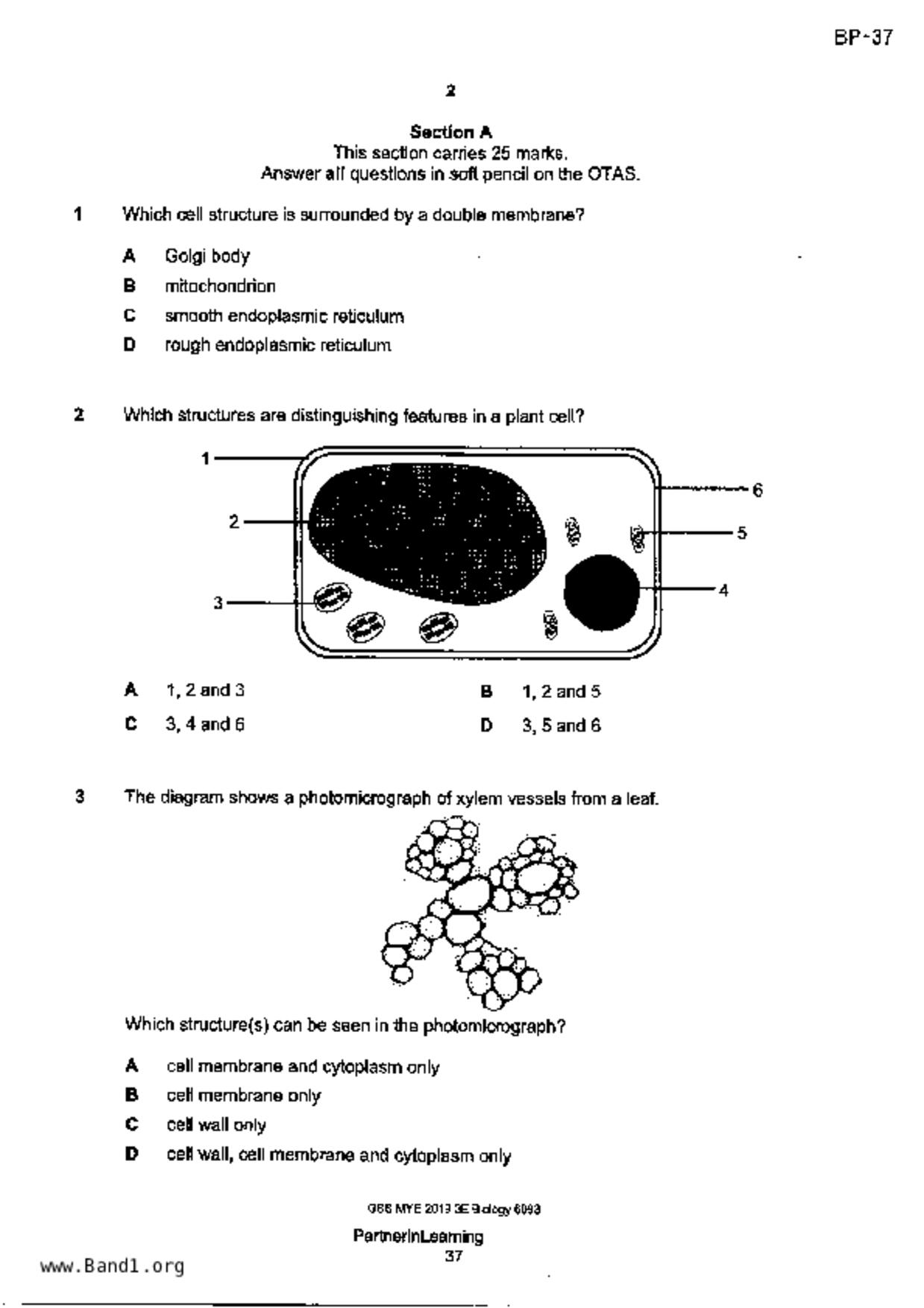 S3Pure Biology試卷