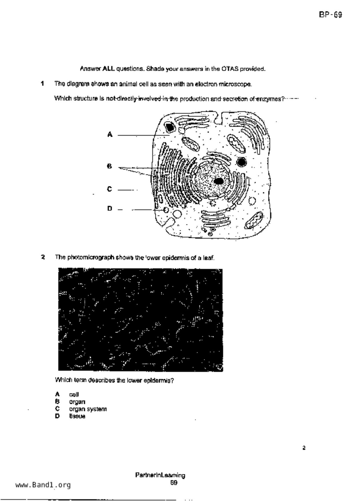 S3Pure Biology試卷