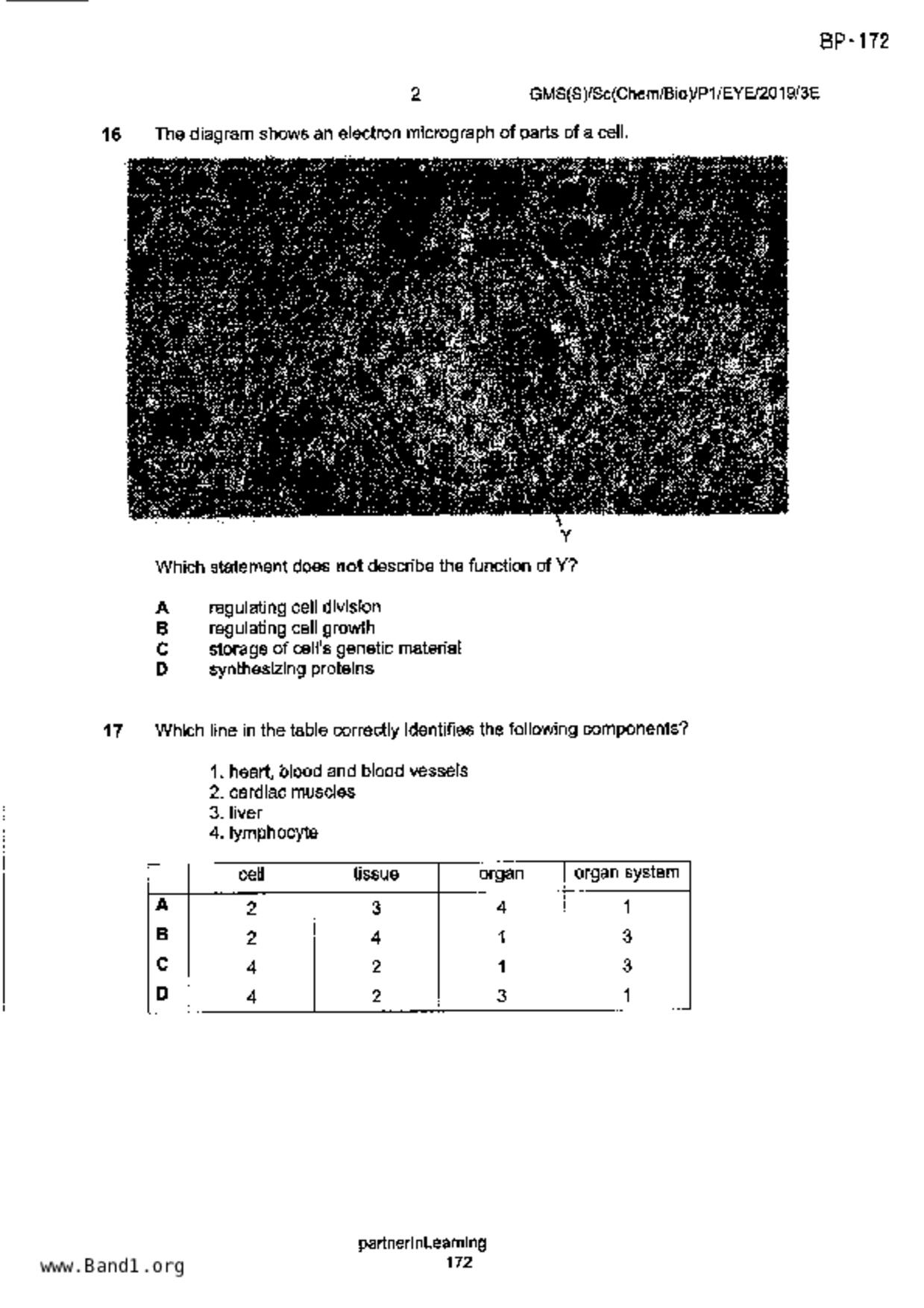 S3Science Biology試卷