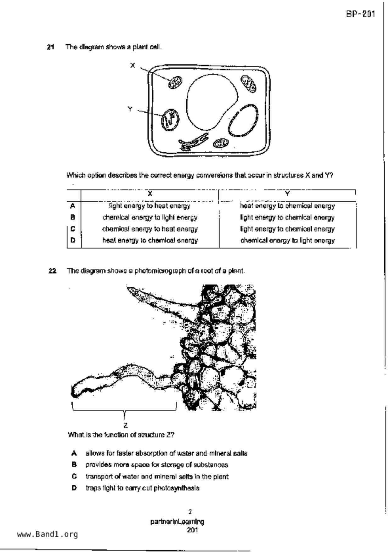 S3Science Biology試卷