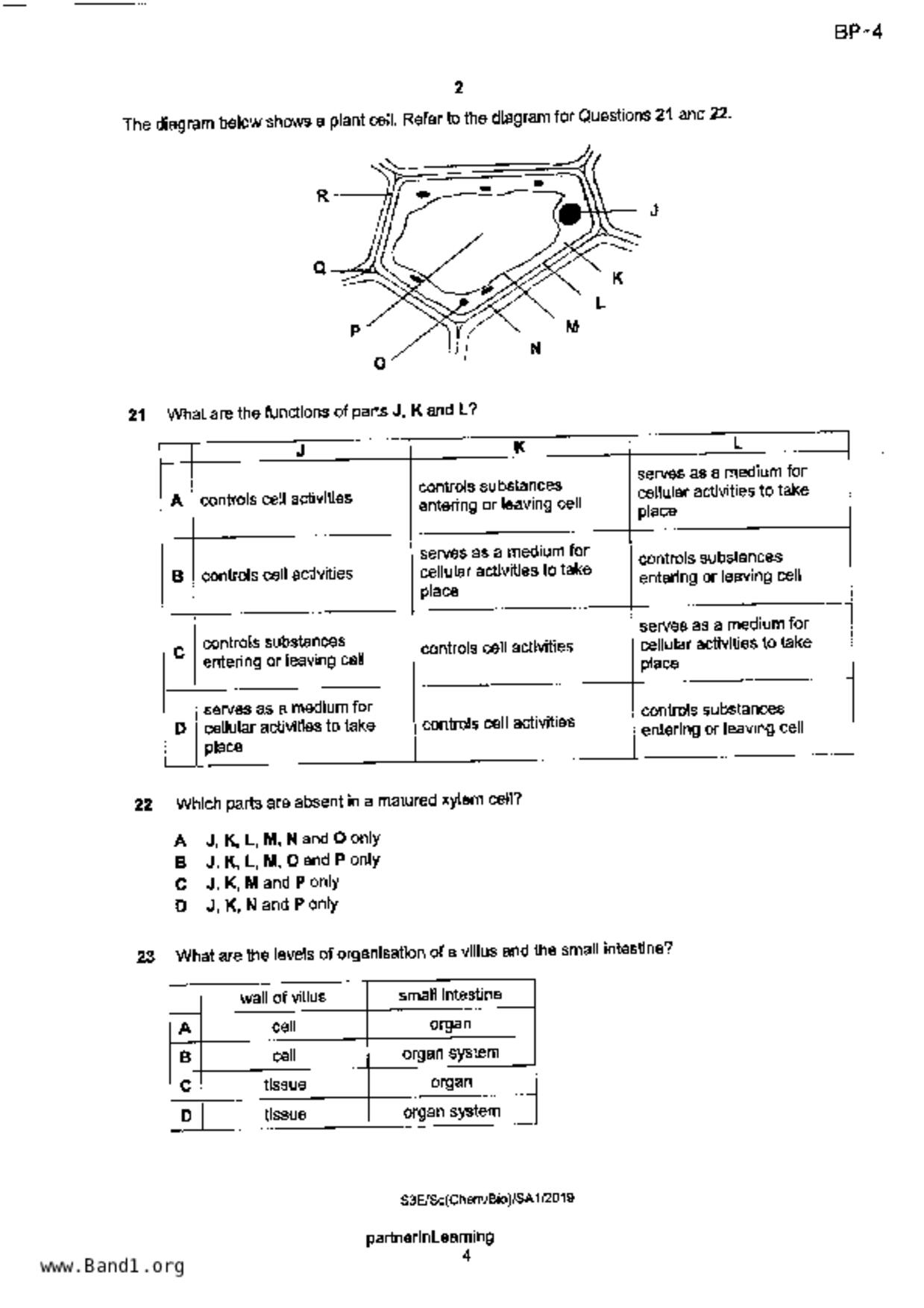 S3Science Biology試卷