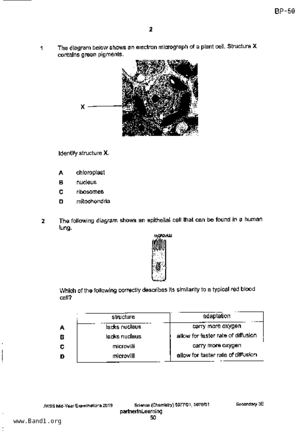 S3Science Biology試卷