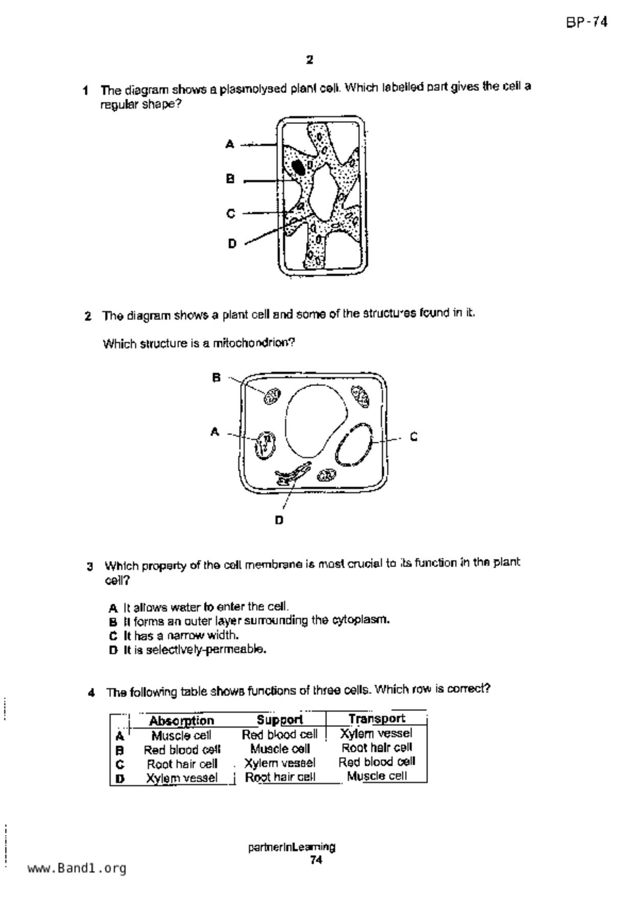 S3Science Biology試卷
