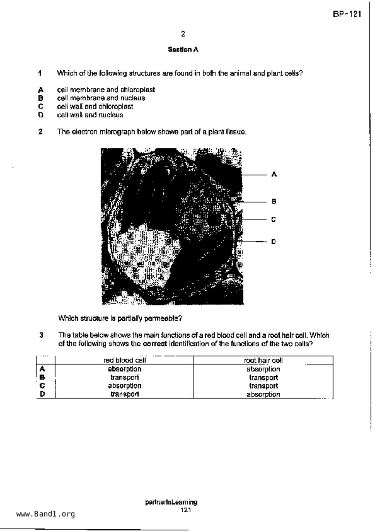 S3Science Biology試卷