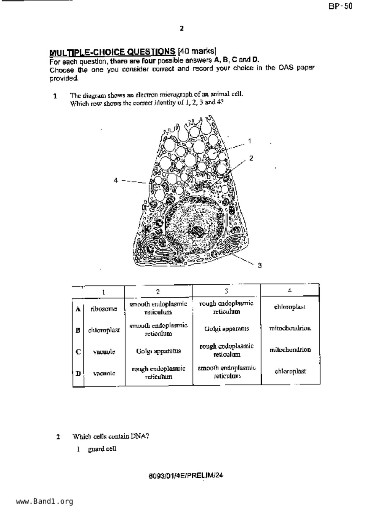 S5Pure Biology試卷