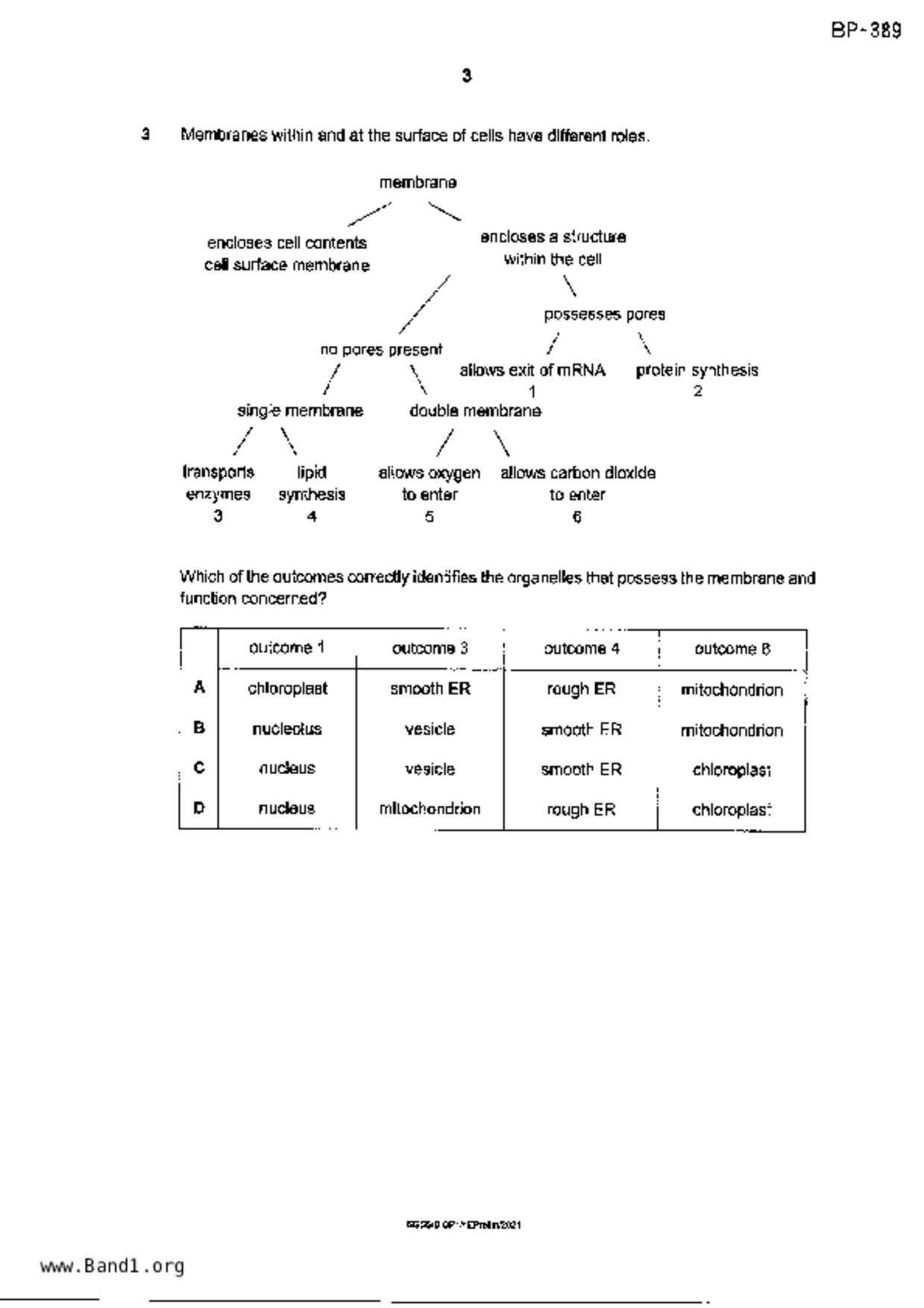 S5Pure Biology試卷