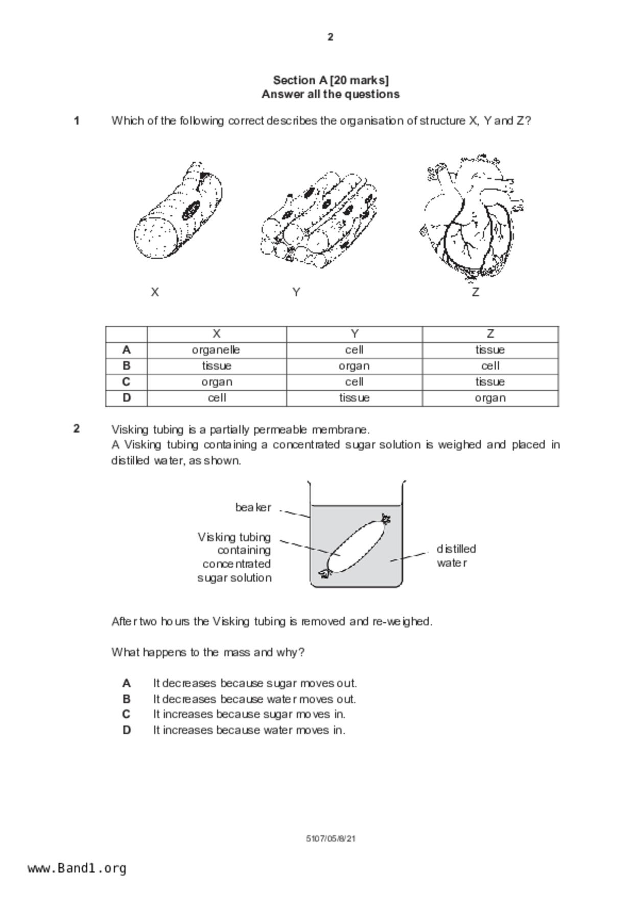 S4Science Biology試卷
