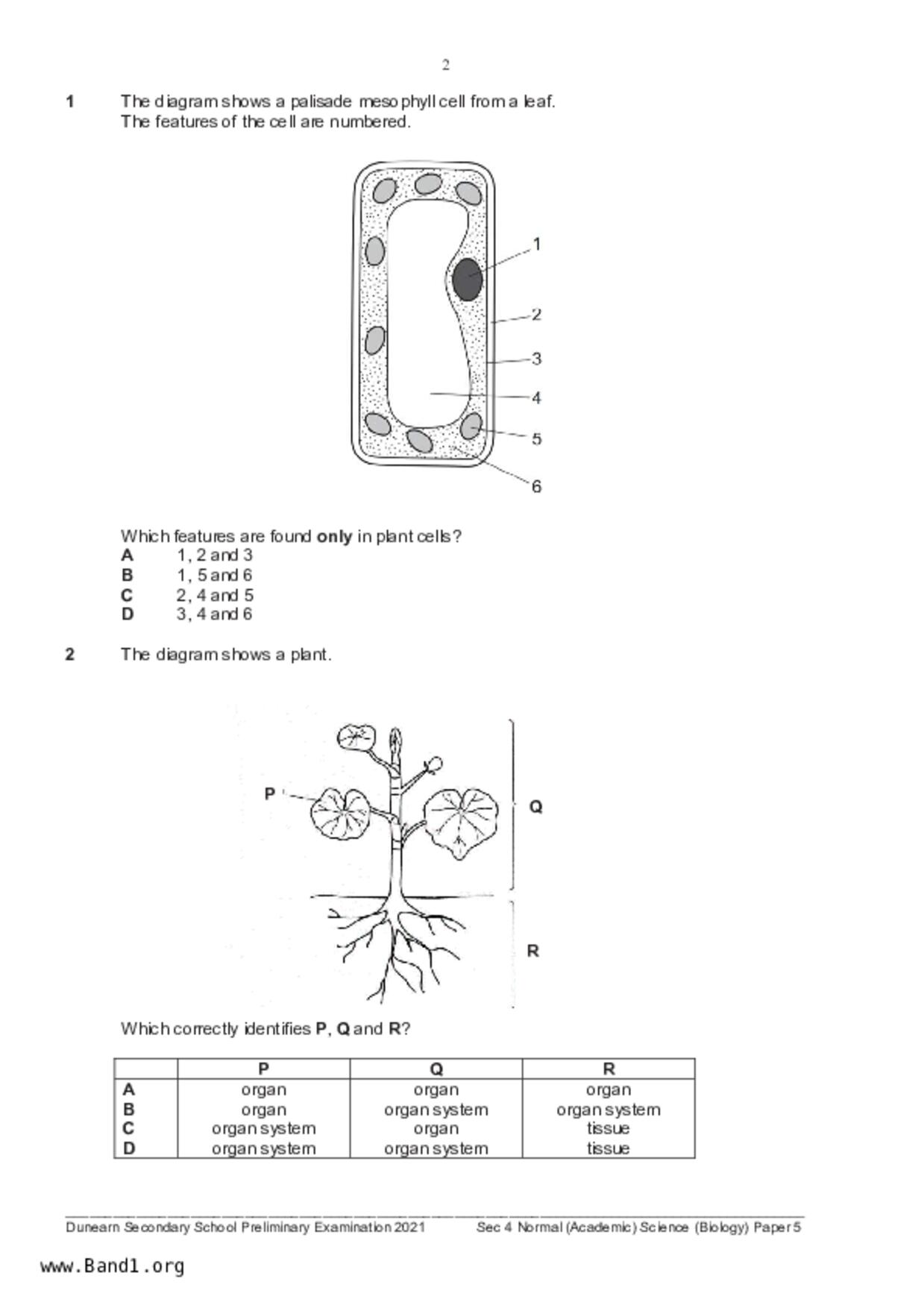 S4Science Biology試卷