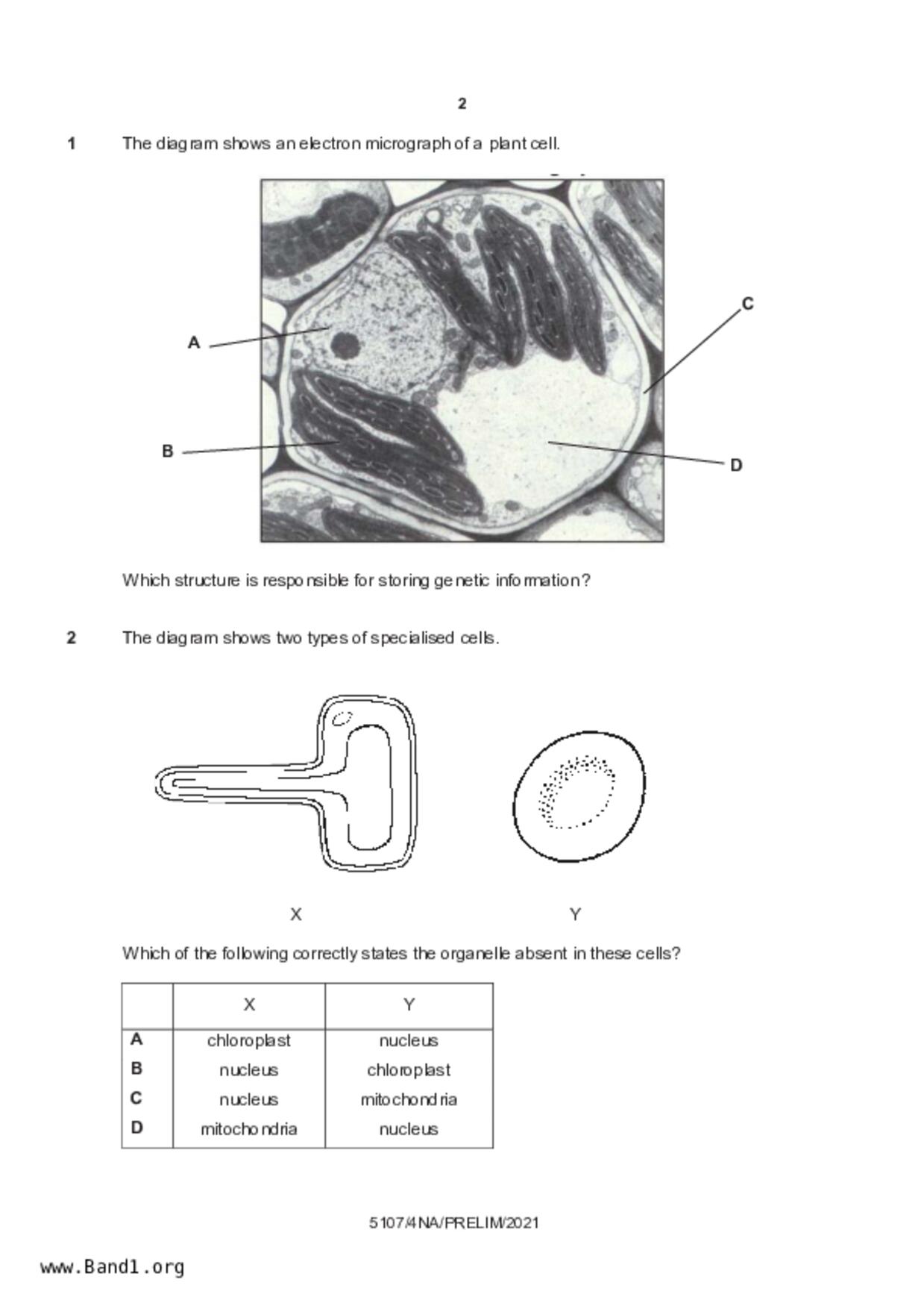 S4Science Biology試卷