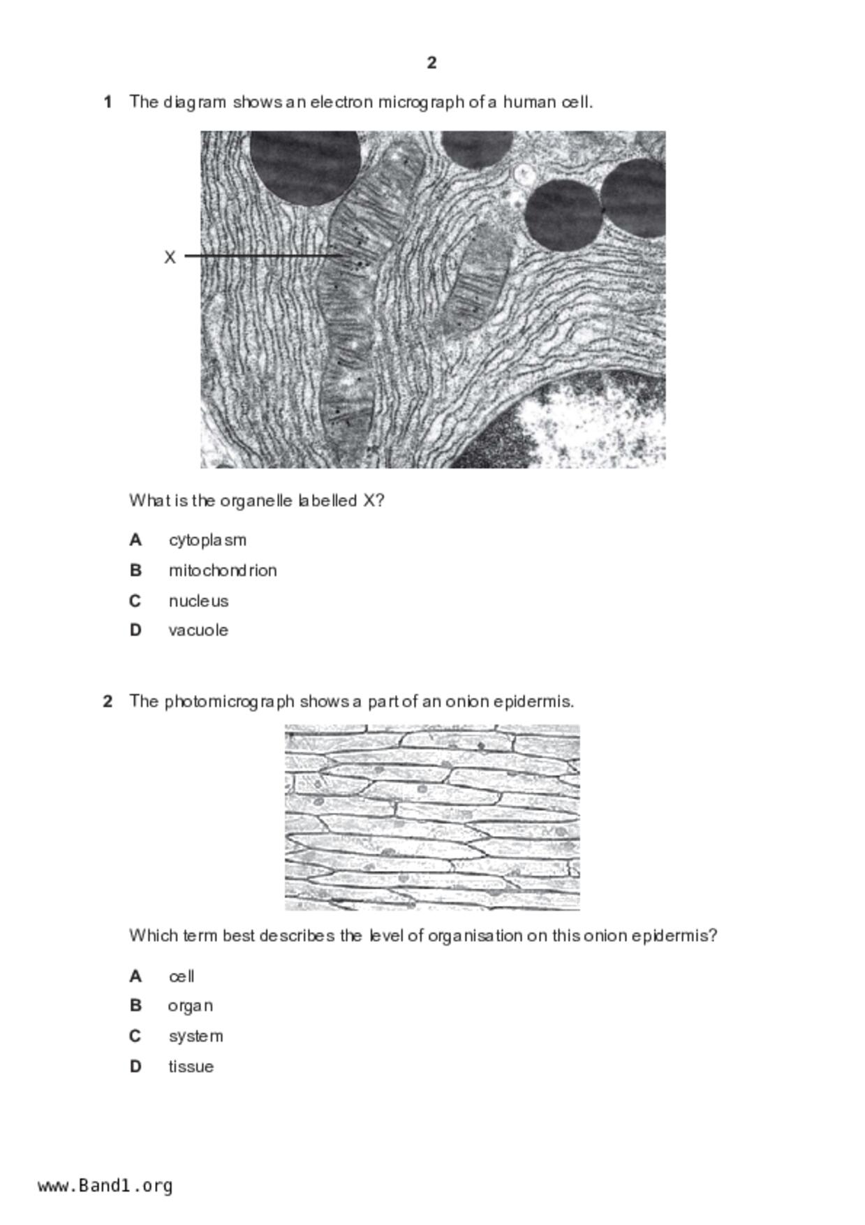 S4Science Biology試卷
