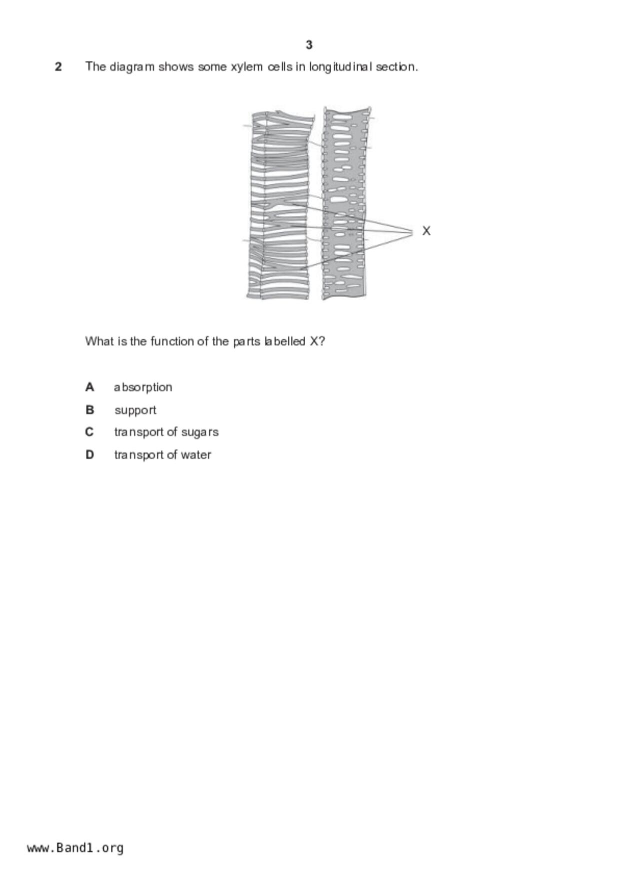 S4Science Biology試卷