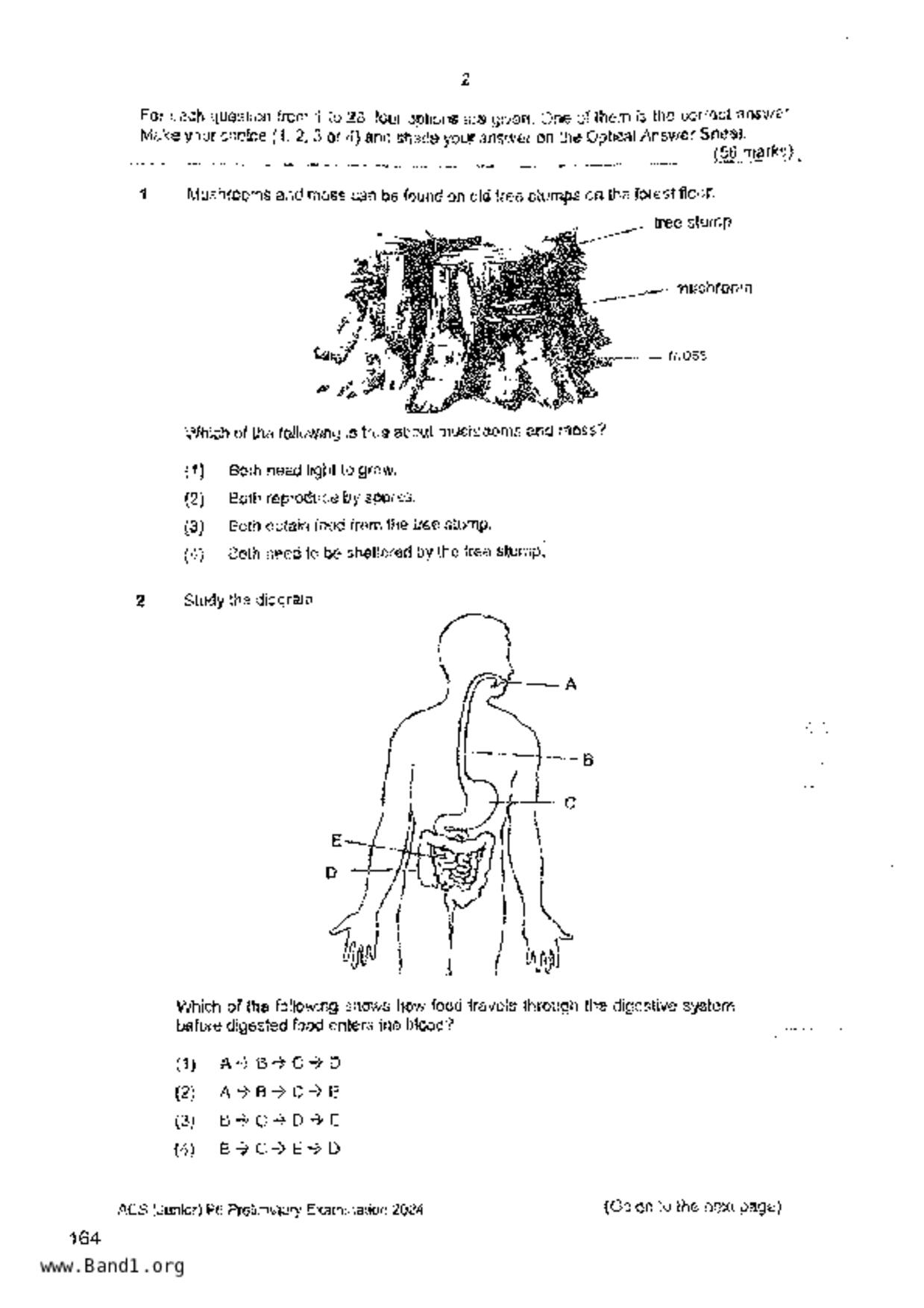 P6Science試卷