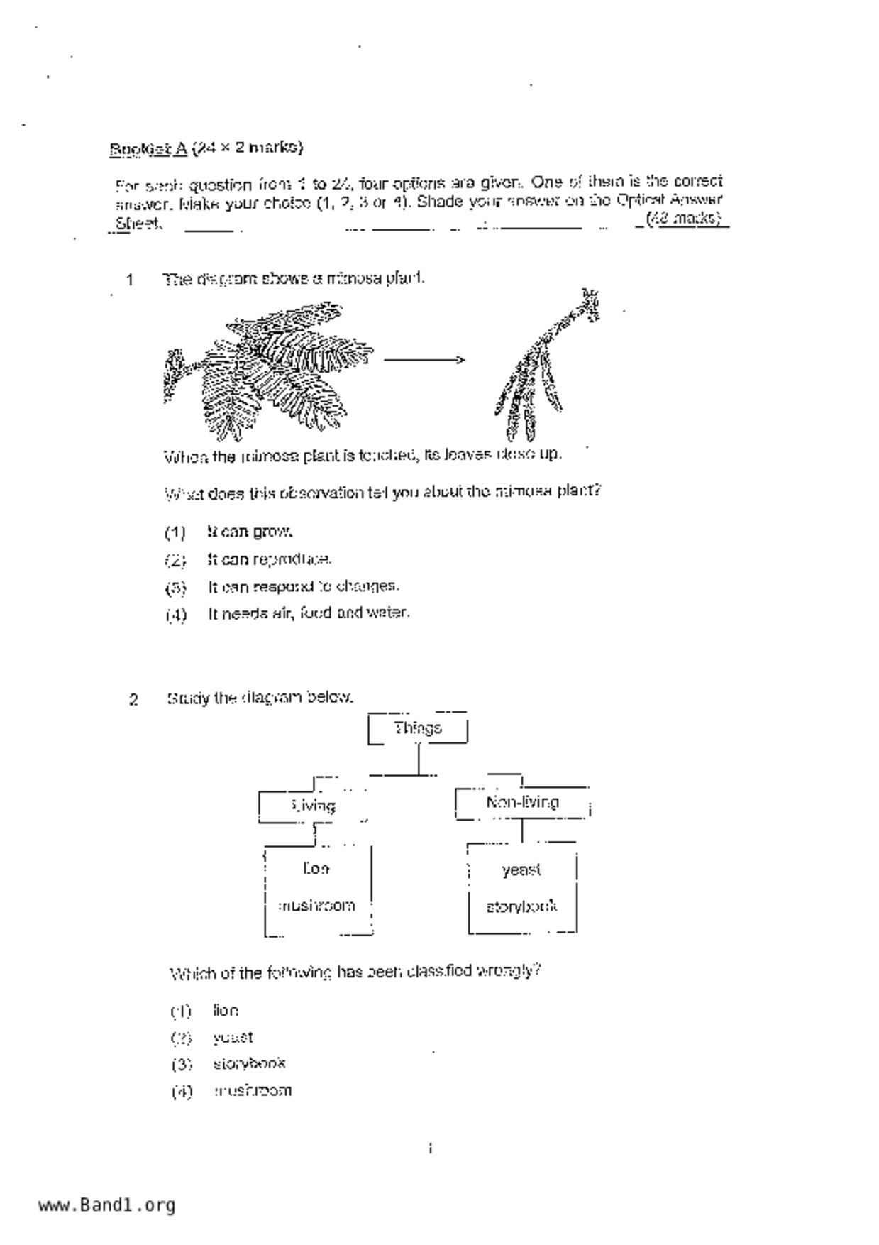 P3Science試卷