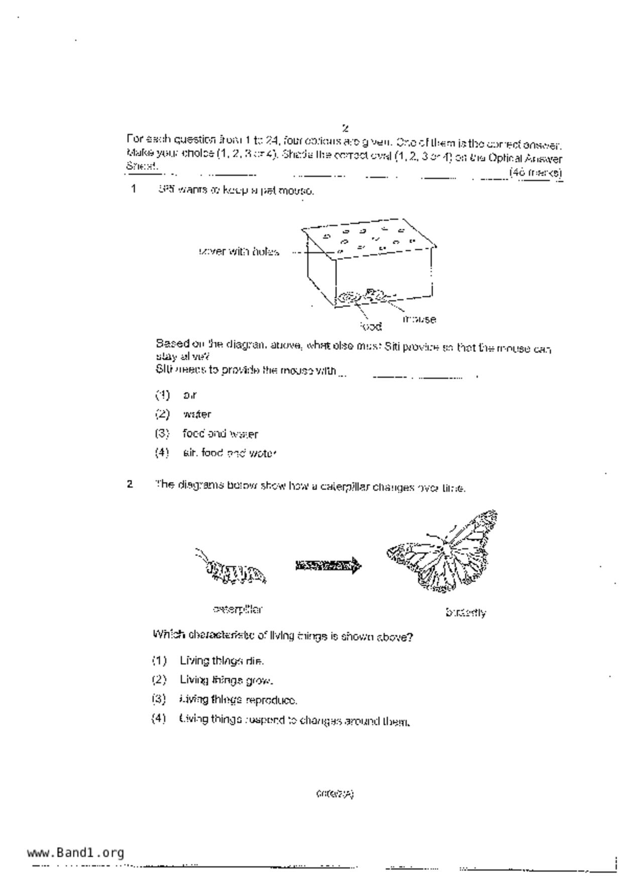 P3Science試卷
