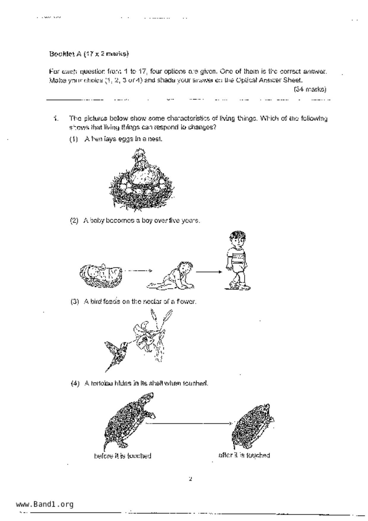 P3Science試卷
