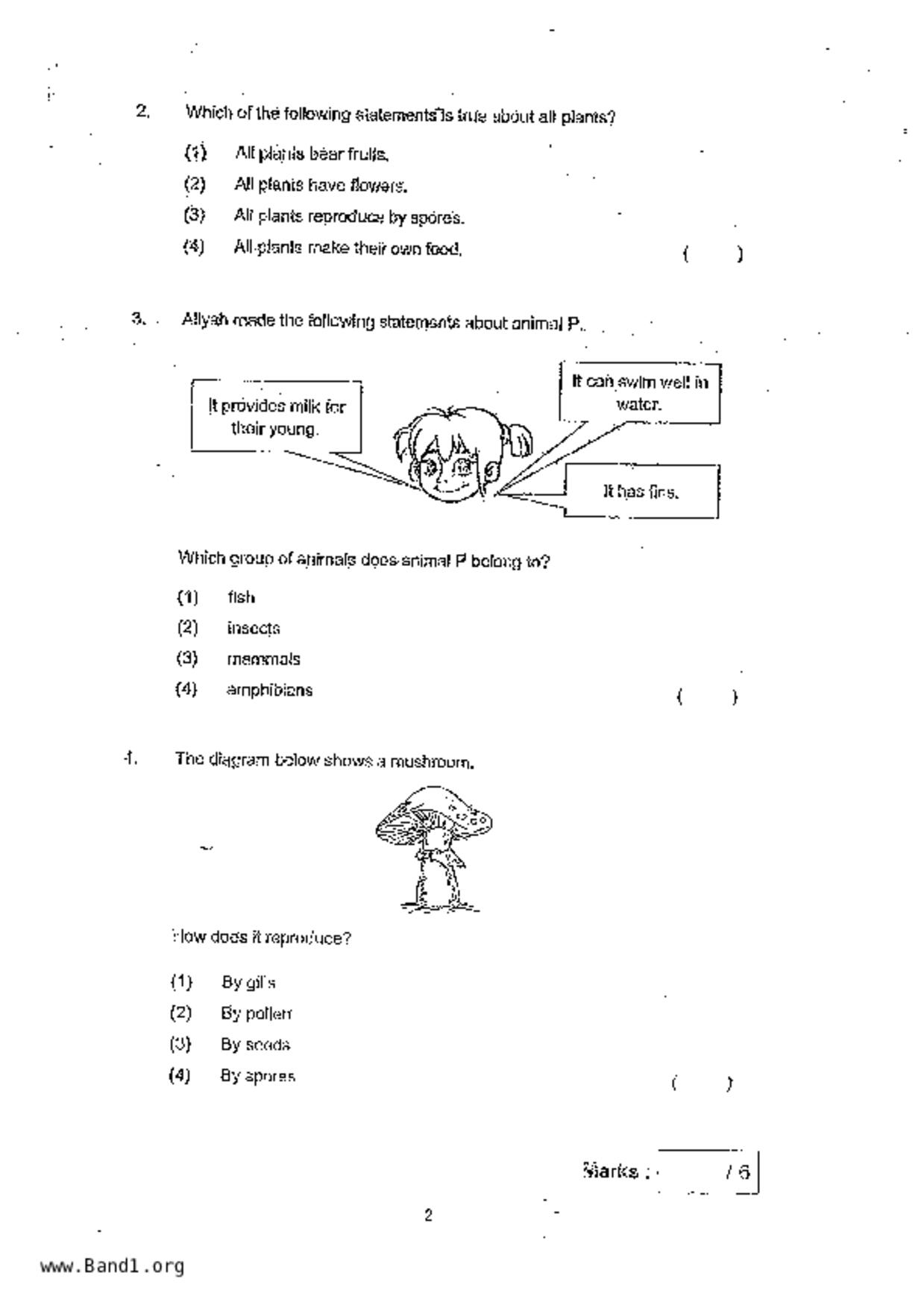 P3Science試卷