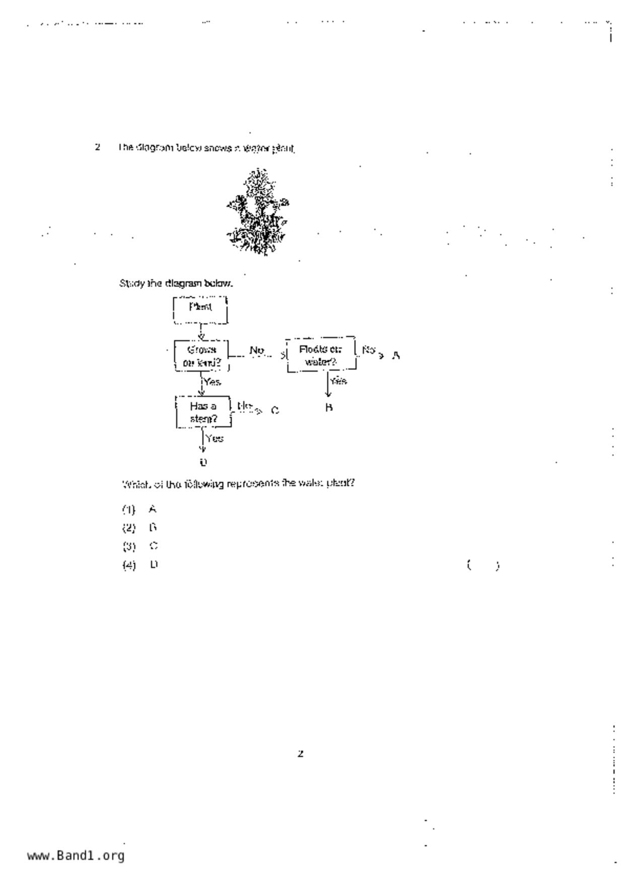 P3Science試卷
