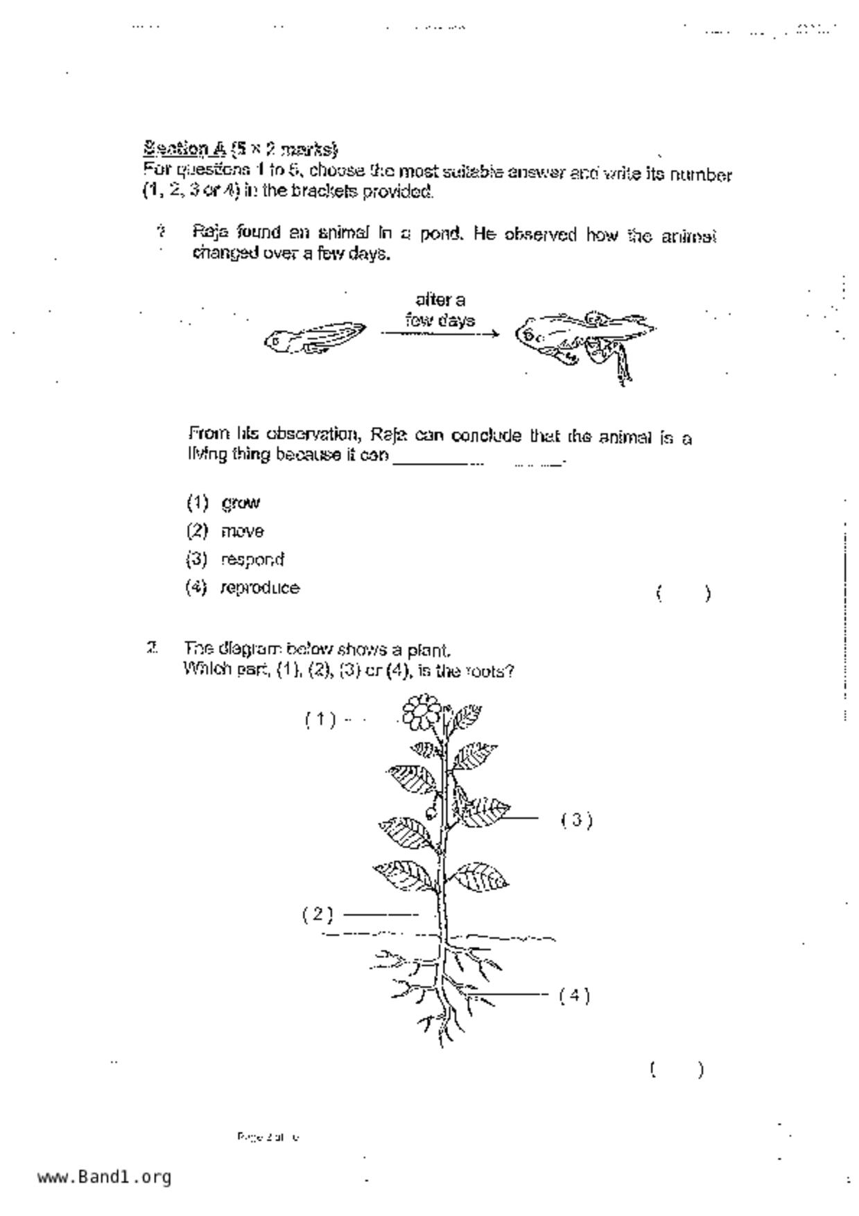 P3Science試卷