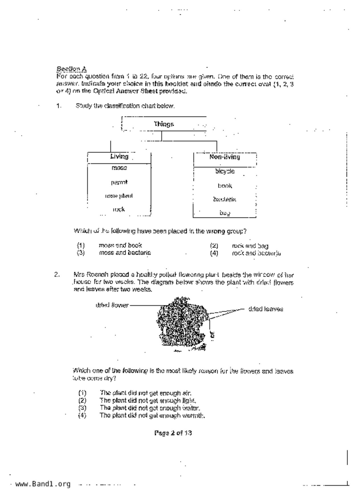 P3Science試卷