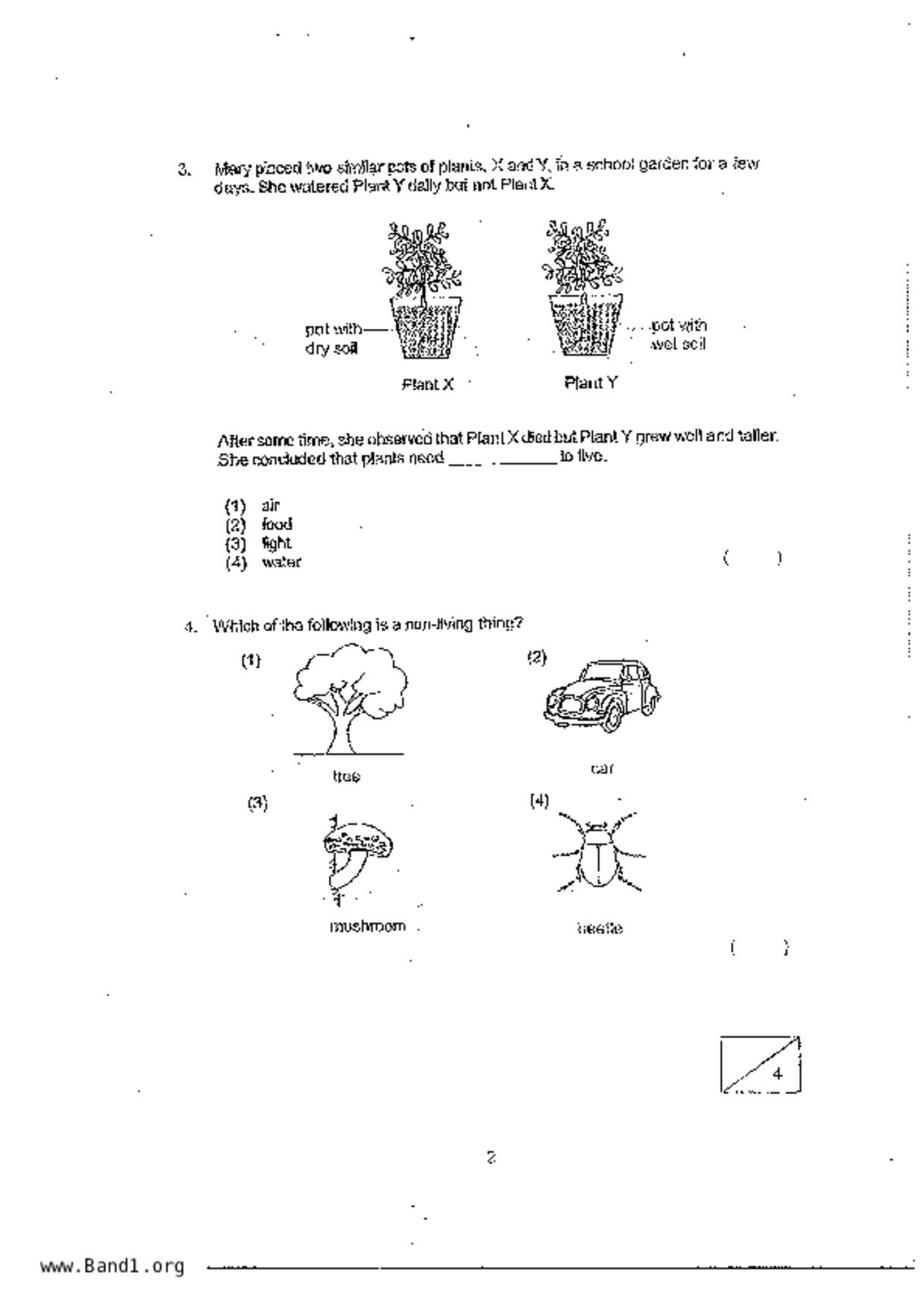 P3Science試卷