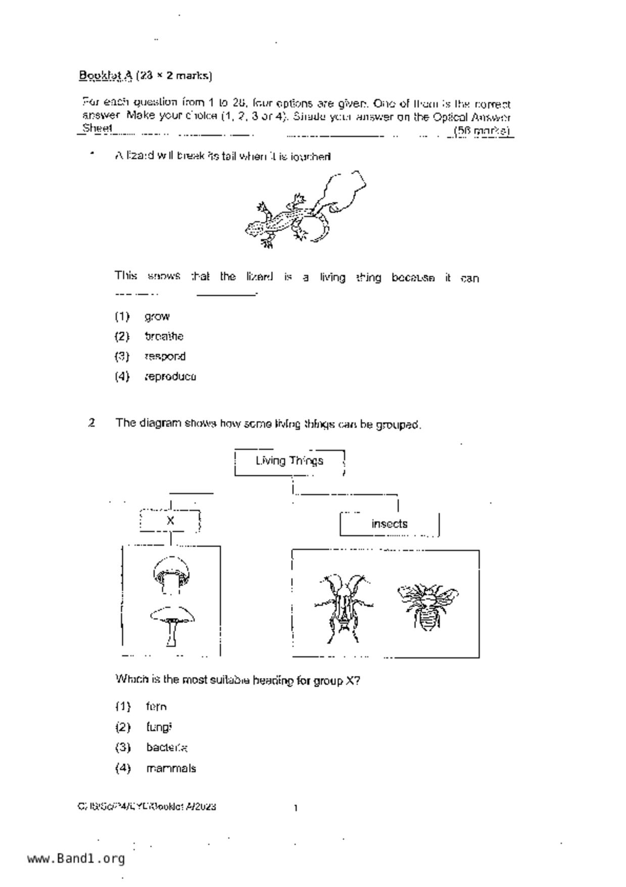 P4Science試卷