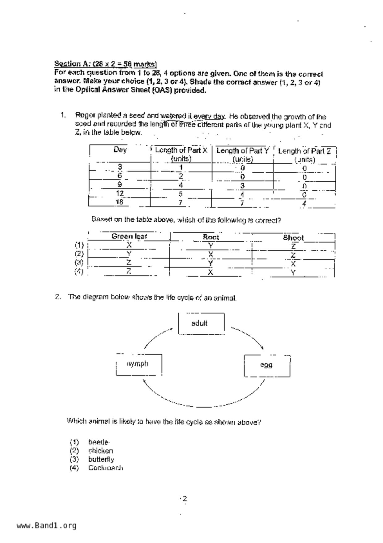P4Science試卷