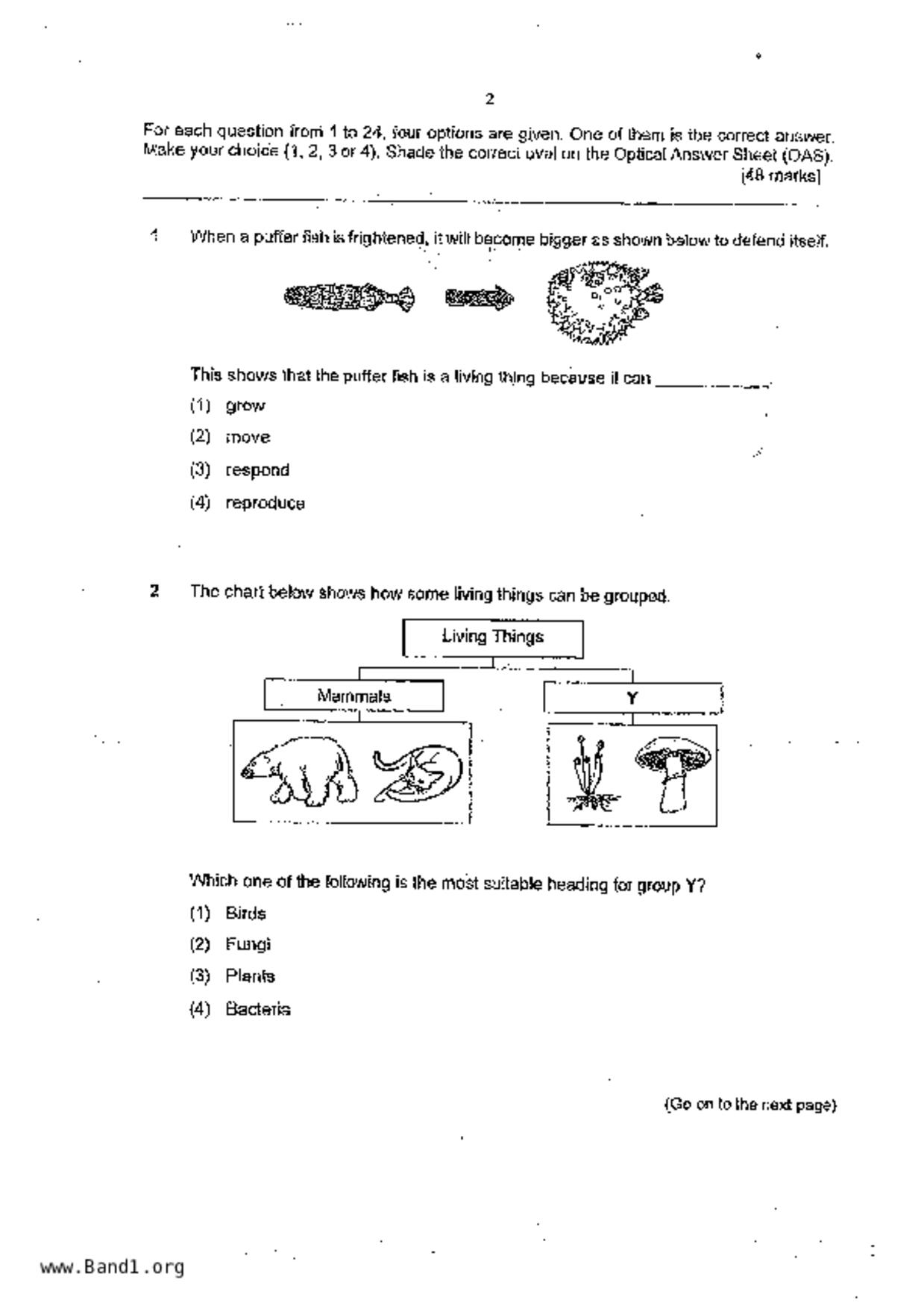 P4Science試卷