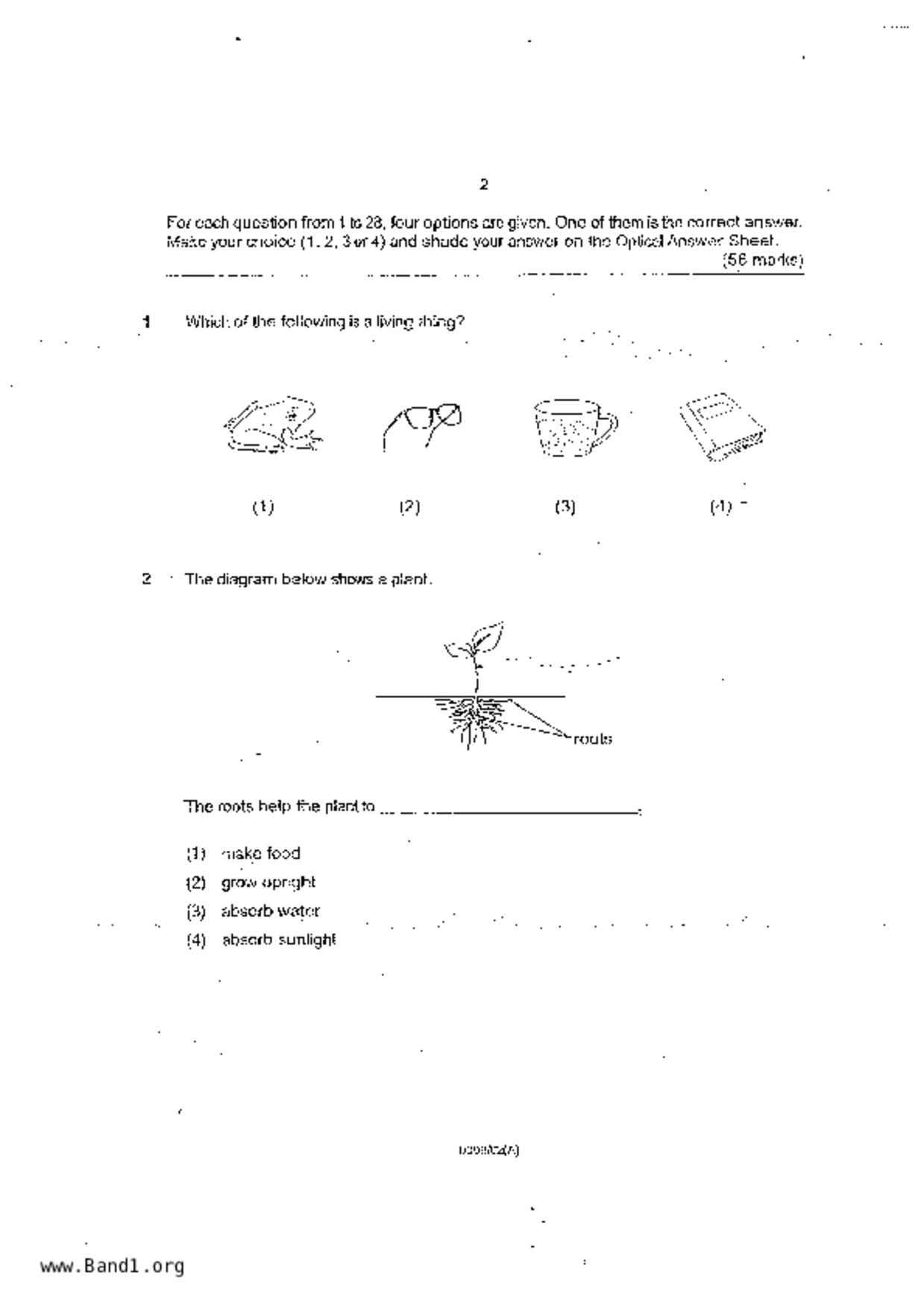 P4Science試卷