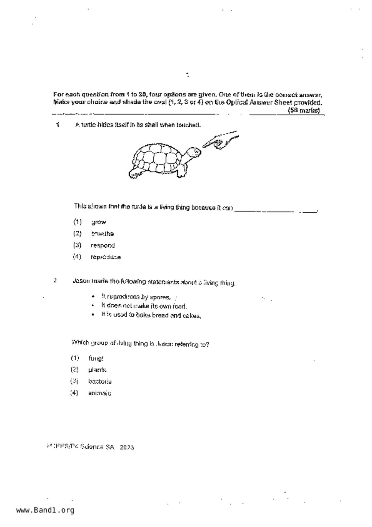 P4Science試卷