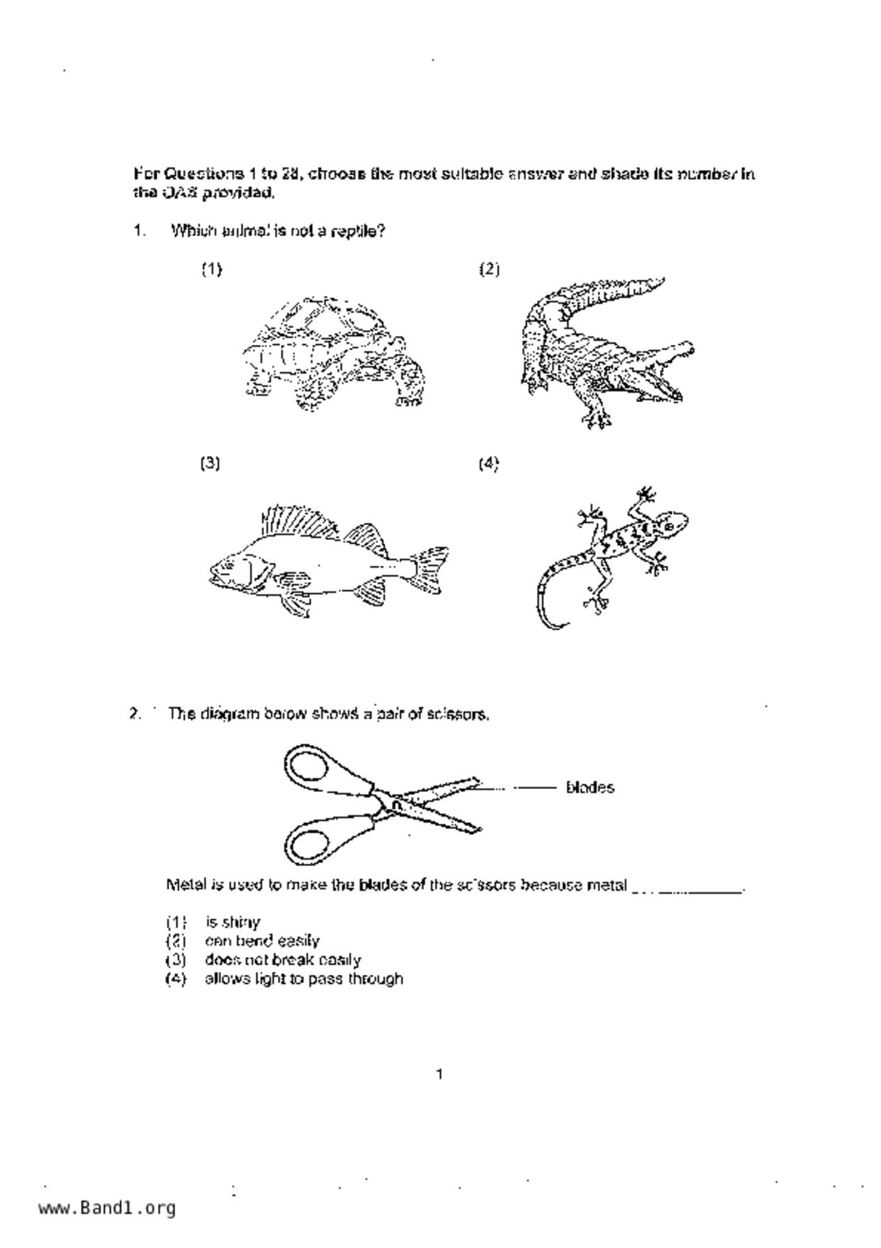 P4Science試卷
