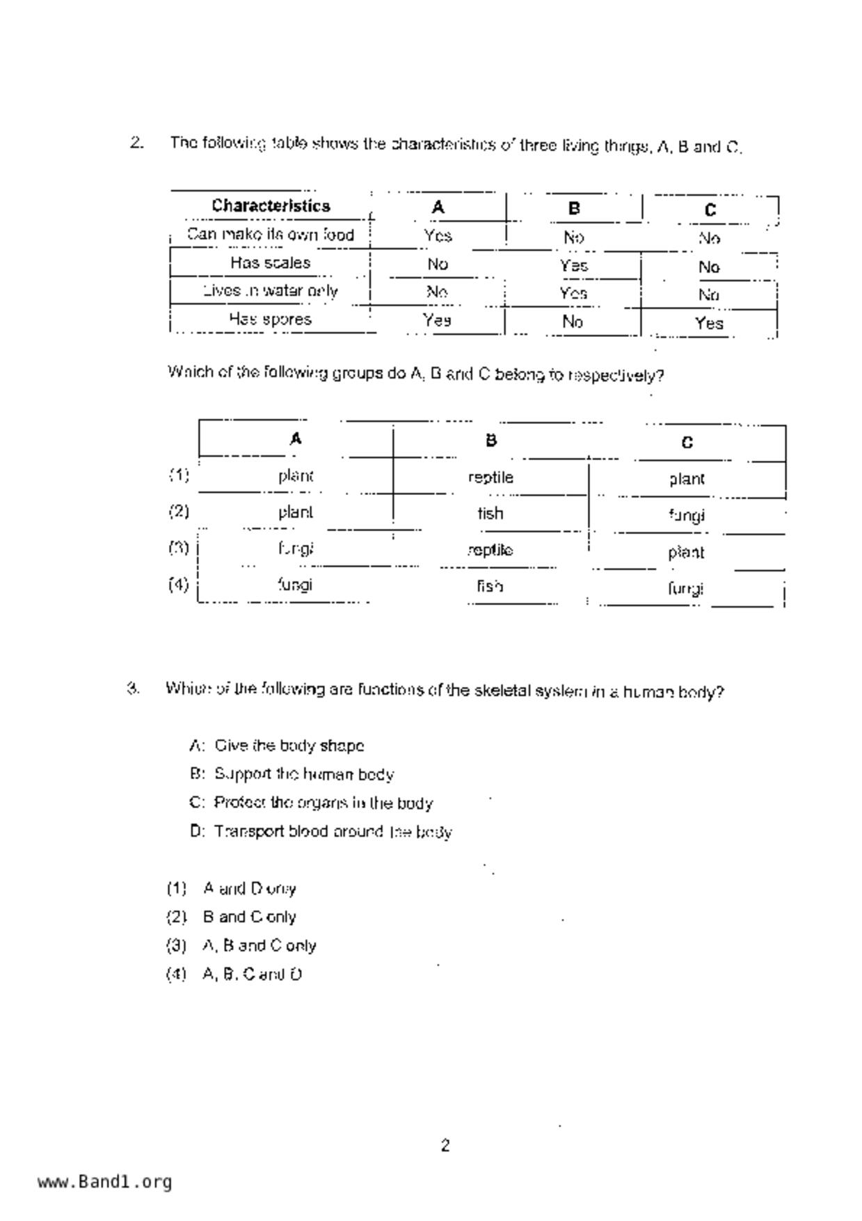 P4Science試卷