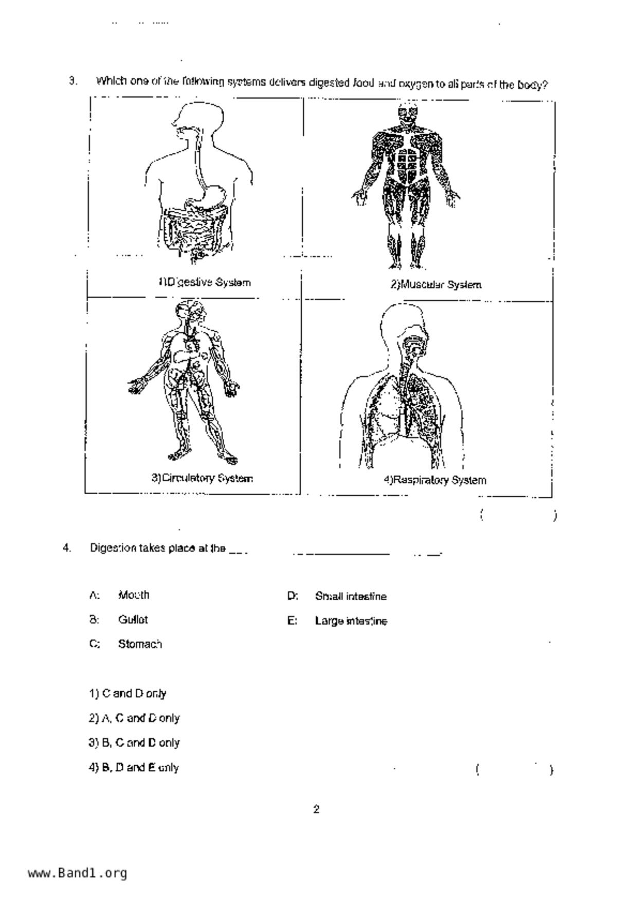 P4Science試卷