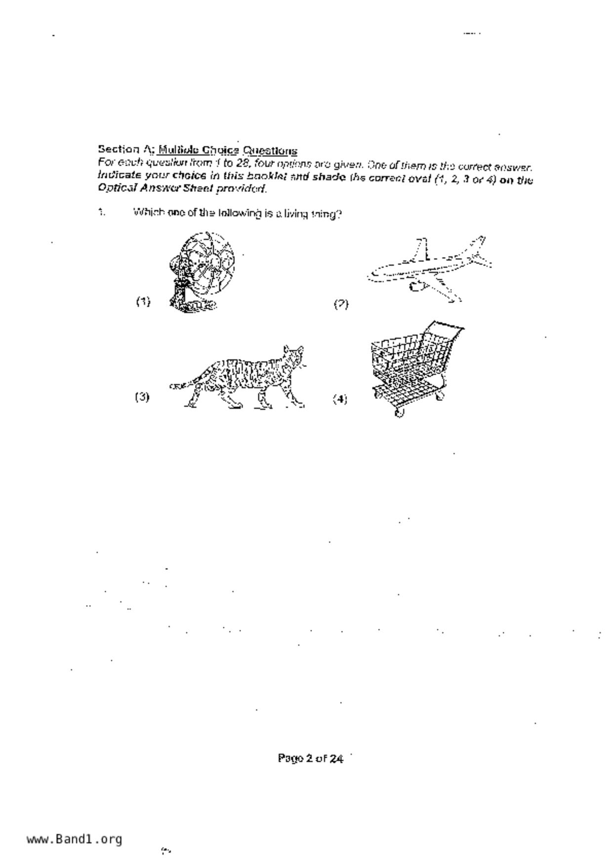 P4Science試卷