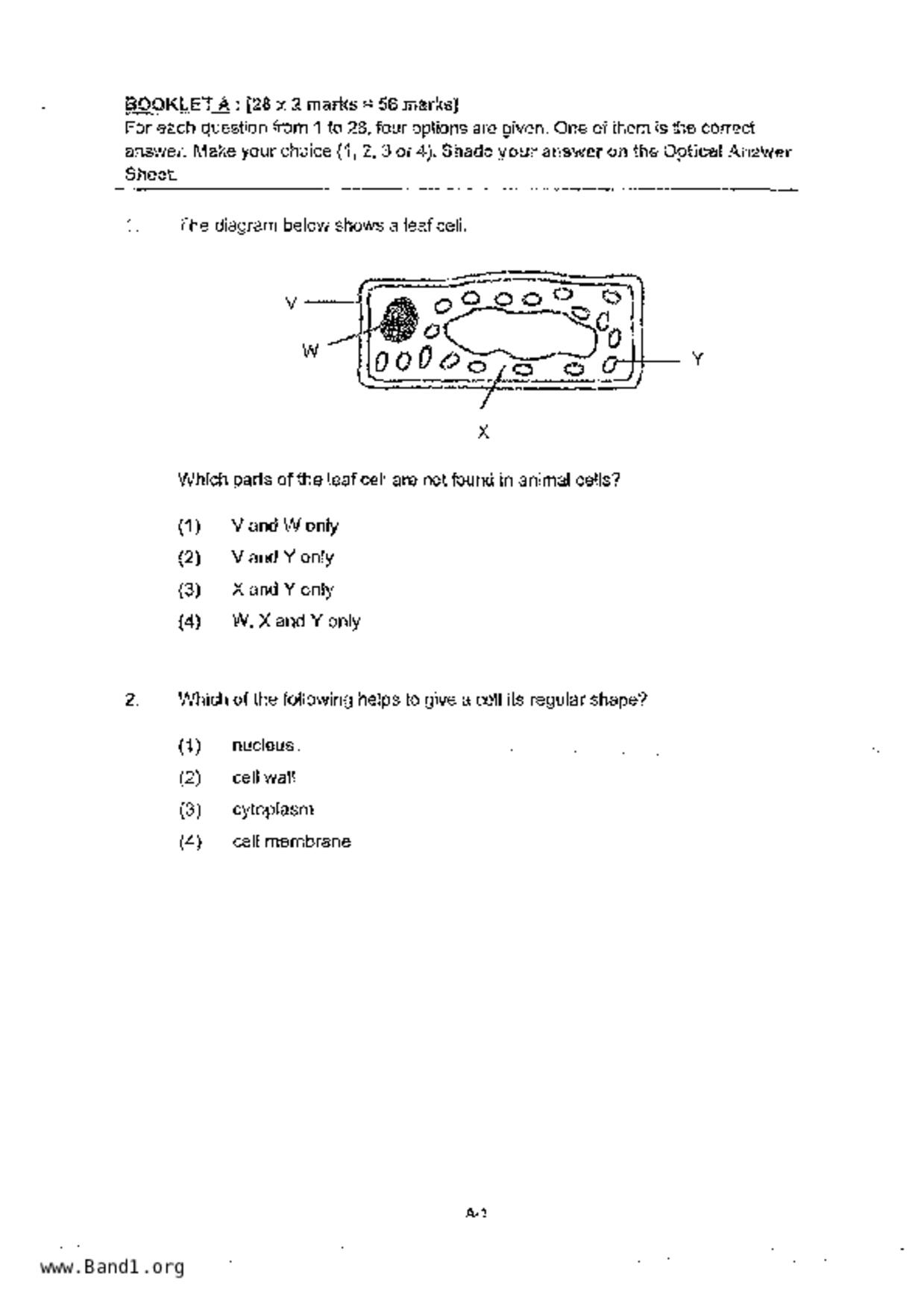 P5Science試卷