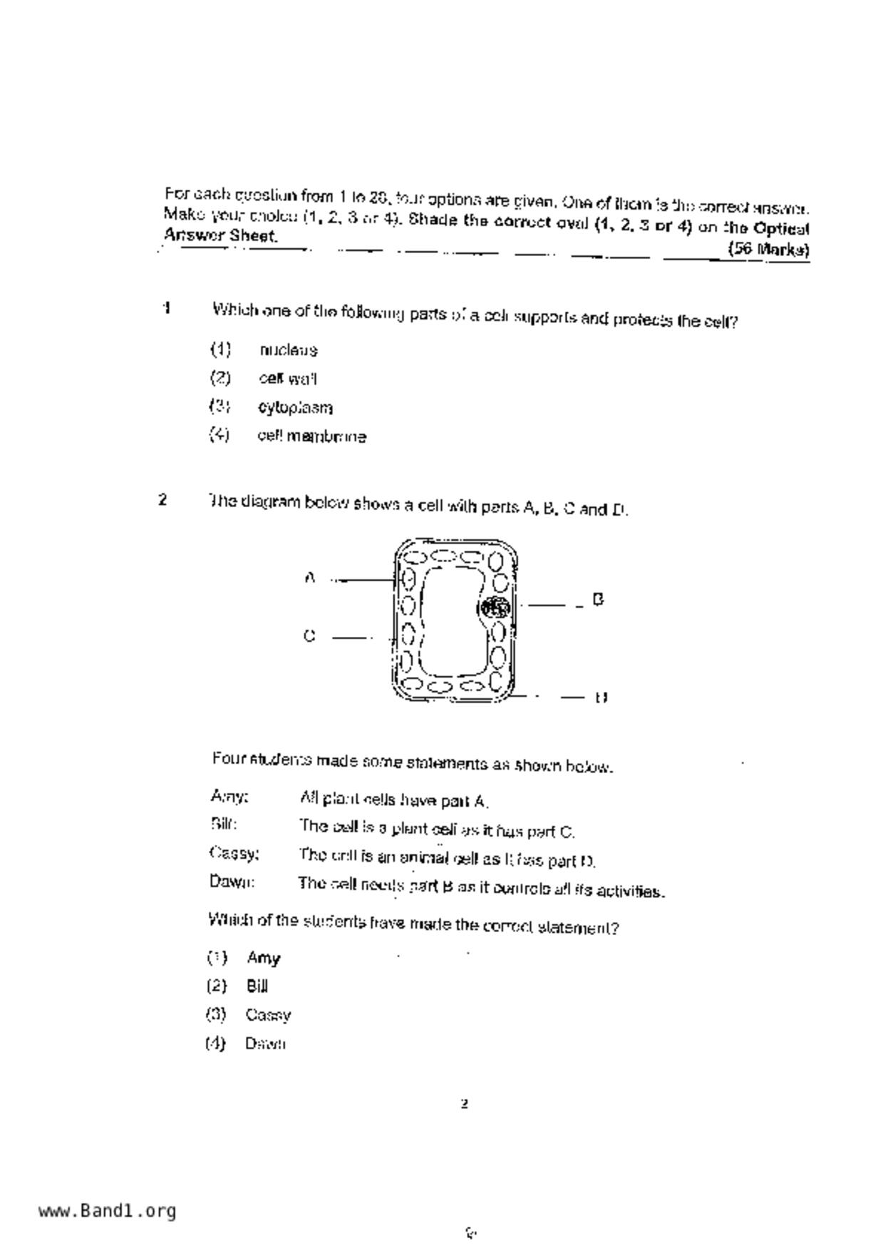 P5Science試卷