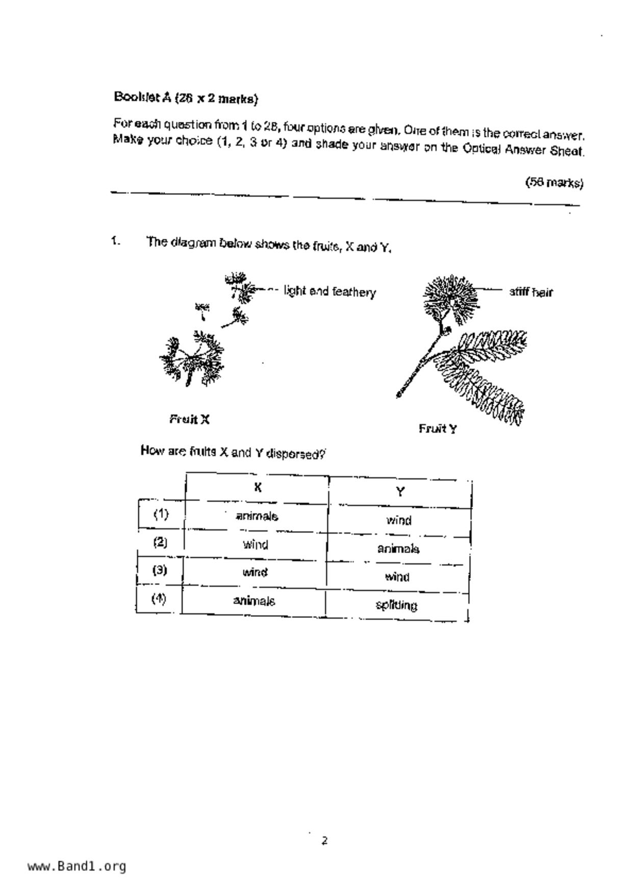 P5Science試卷