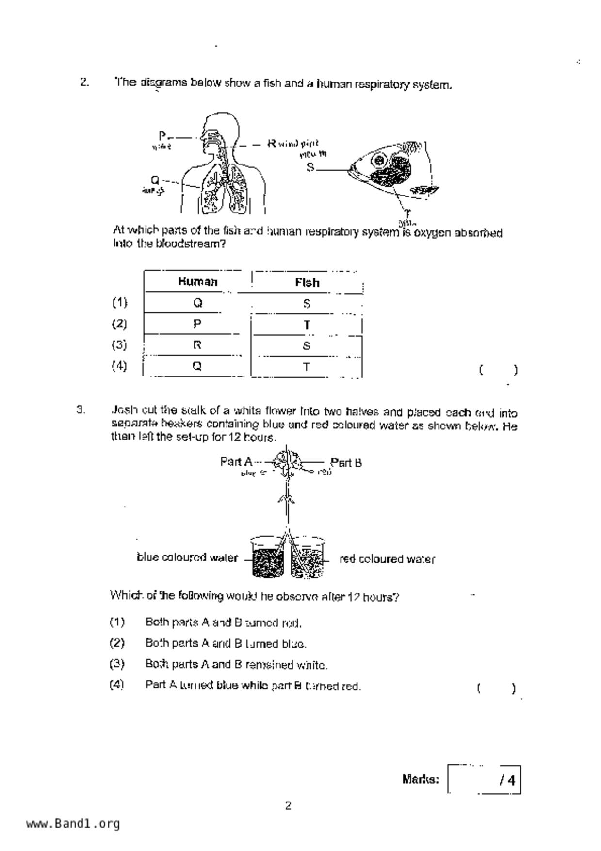 P5Science試卷