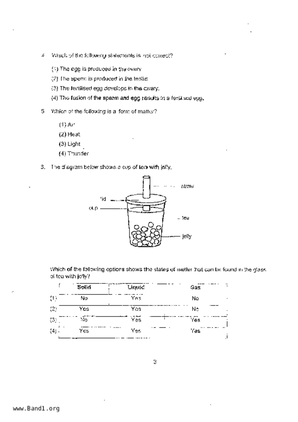 P5Science試卷