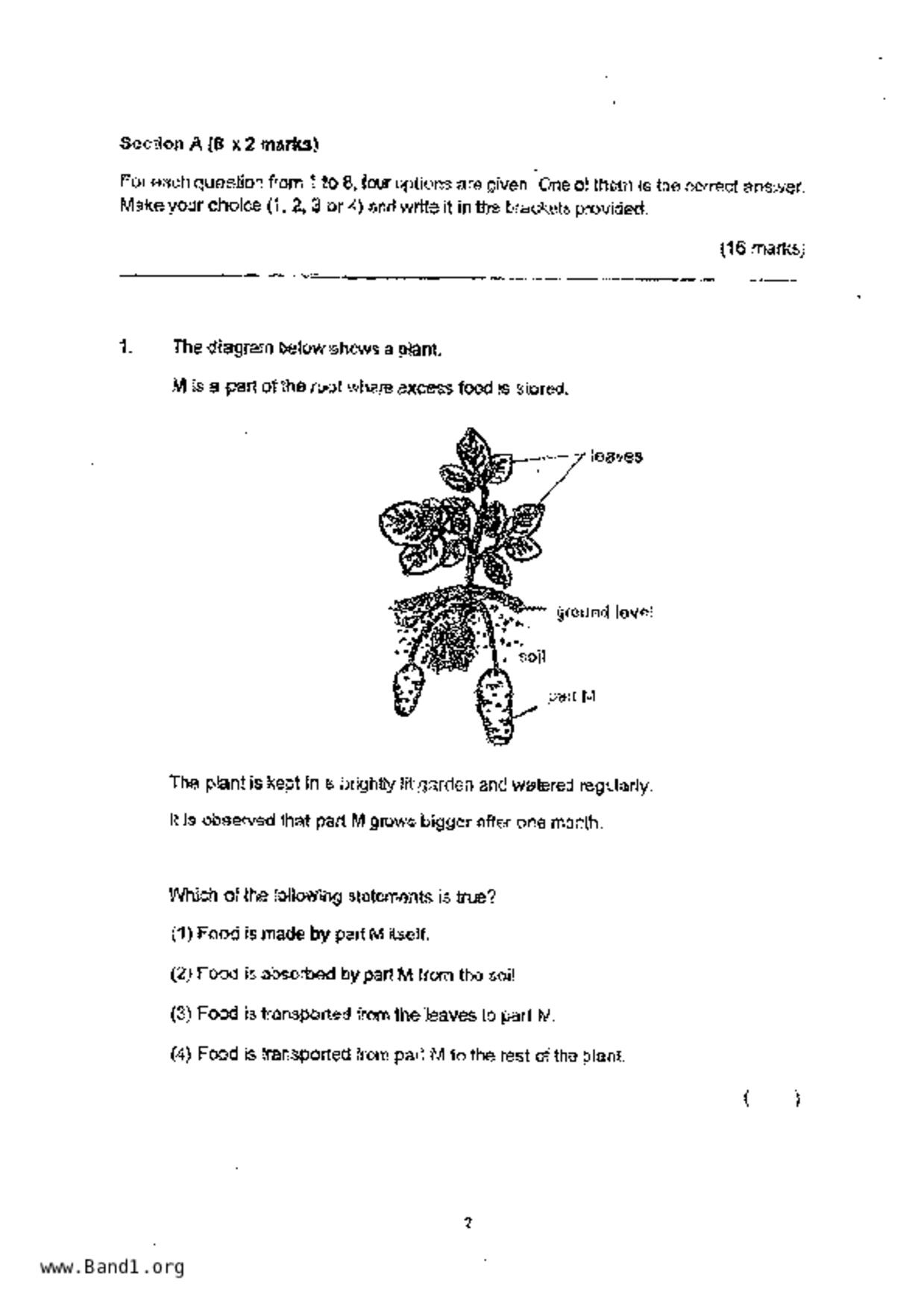 P5Science試卷