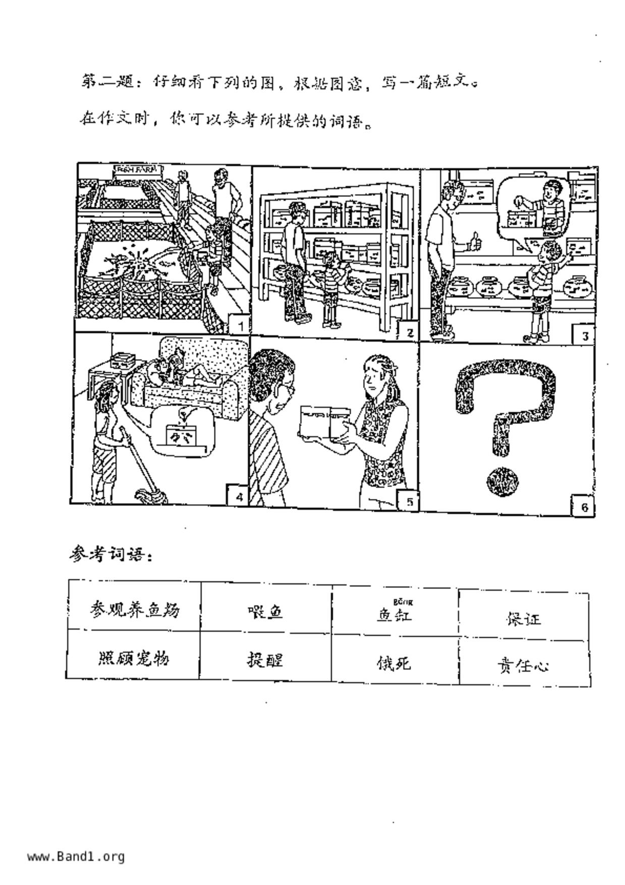 P5Chinese試卷