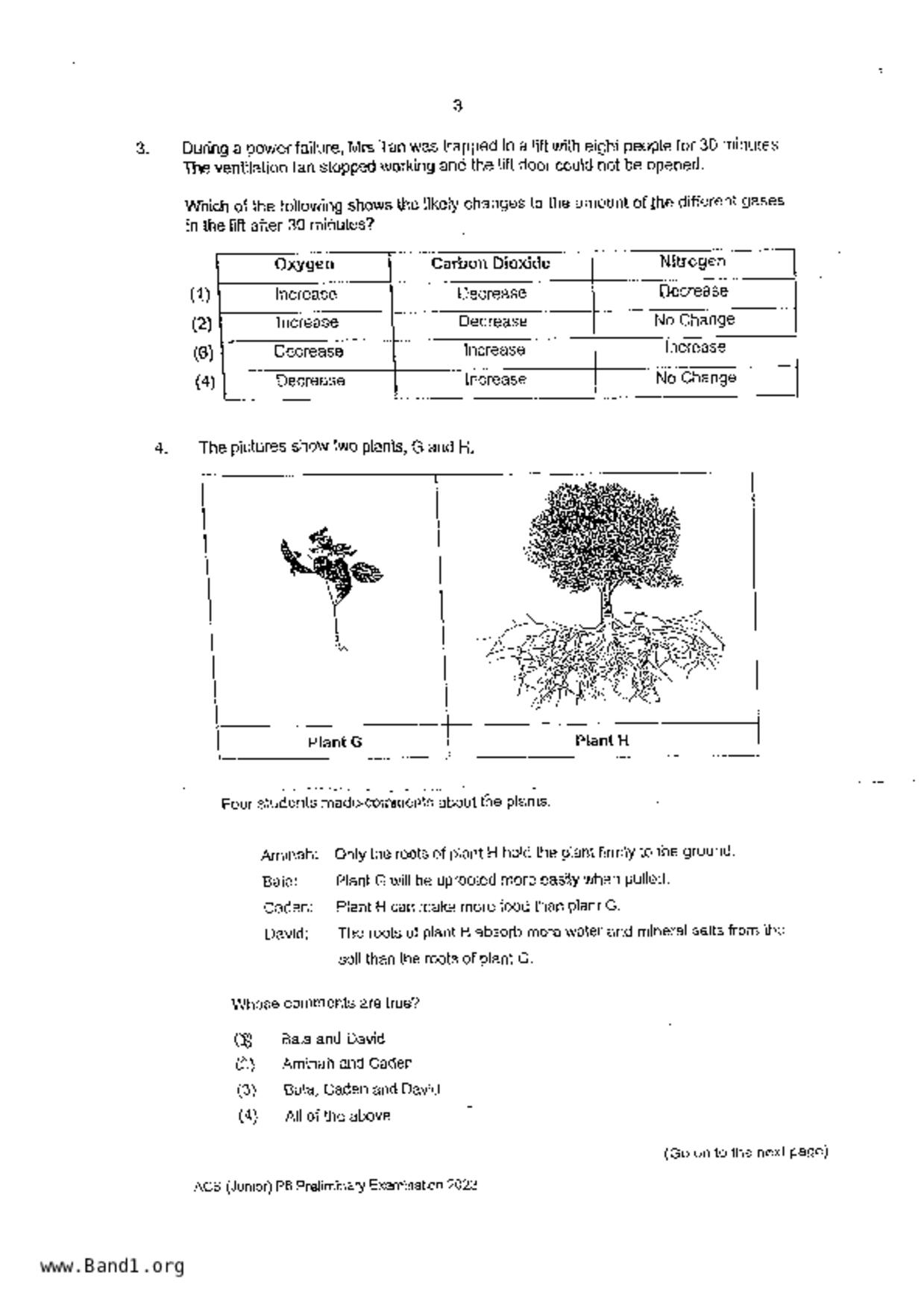 P6Science試卷