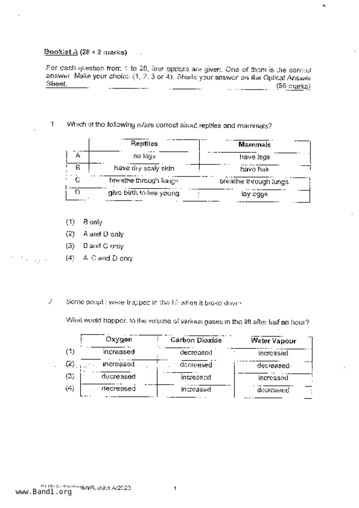 P6Science試卷