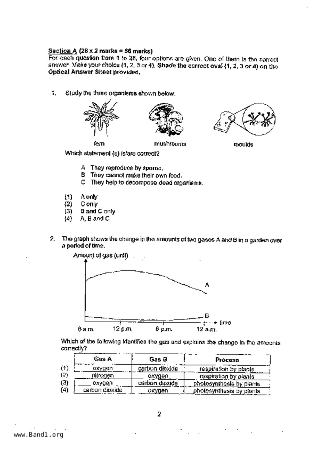 P6Science試卷