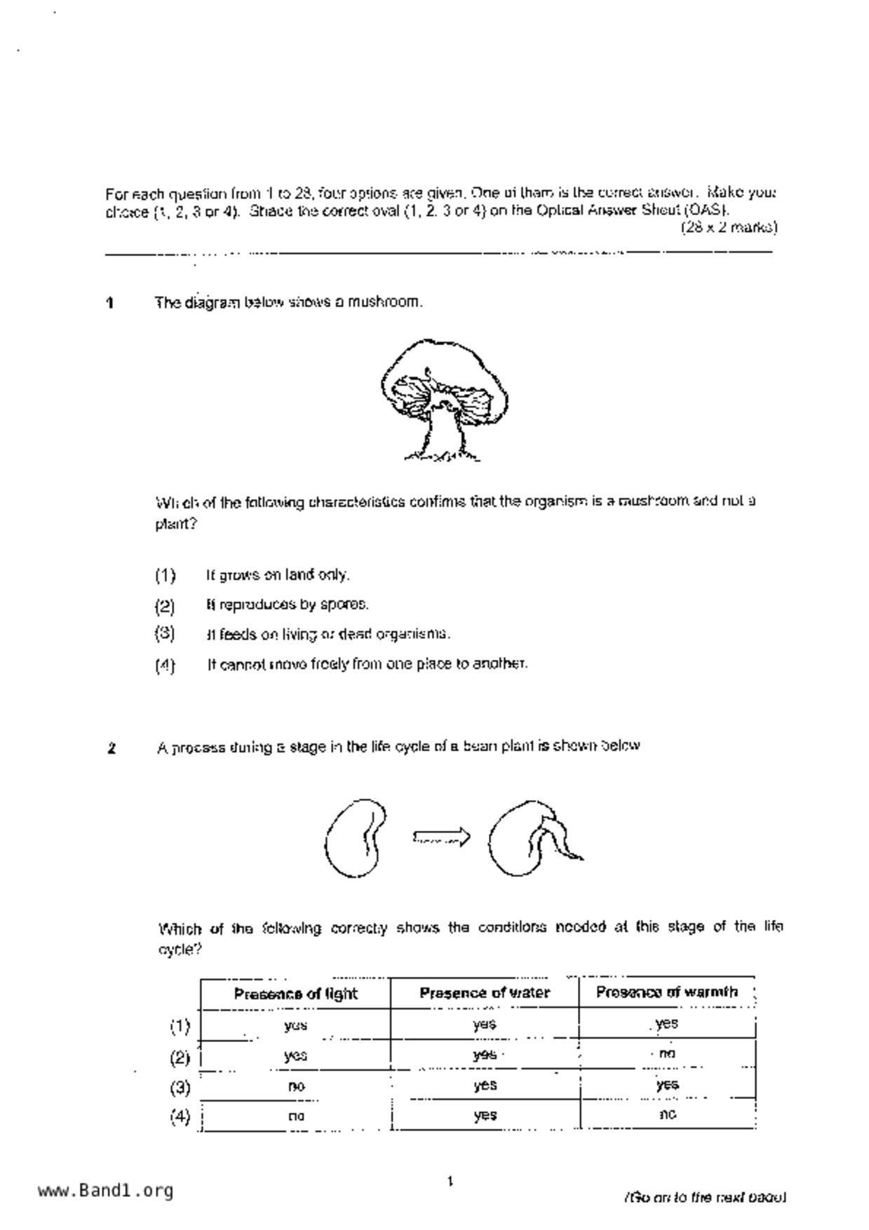 P6Science試卷