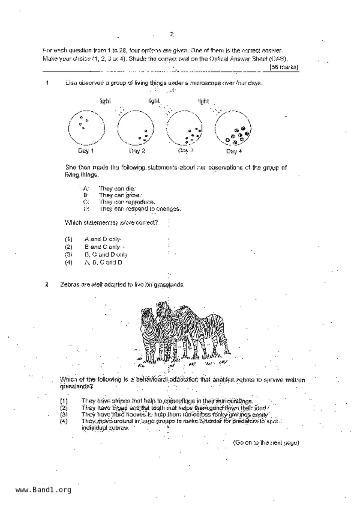 P6Science試卷