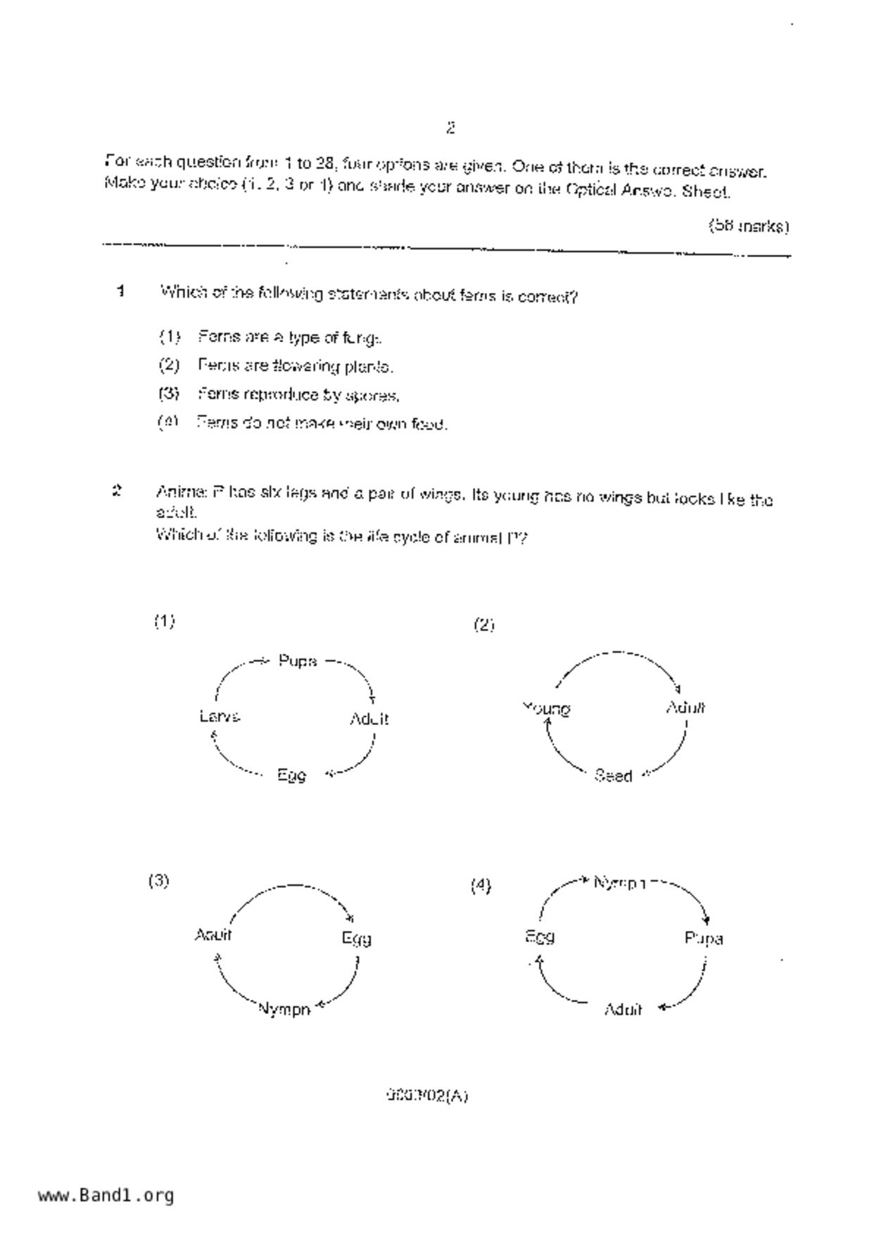 P6Science試卷